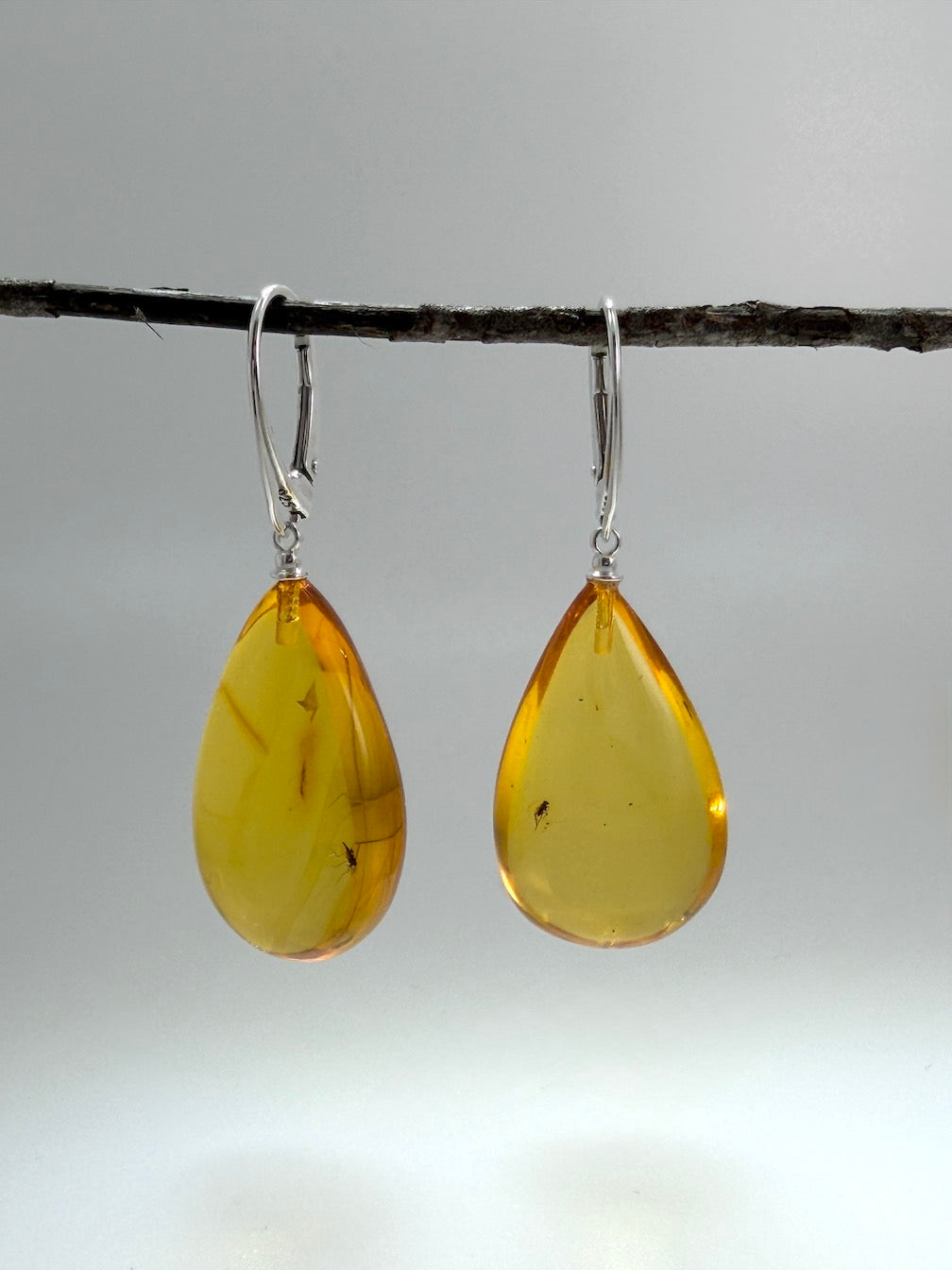 Baltic Amber Fossil Inclusion Earrings – Sterling Silver Lever Back – Rare Teardrop Amber – Museum Quality Collector Jewelry – Genuine Baltic Amber