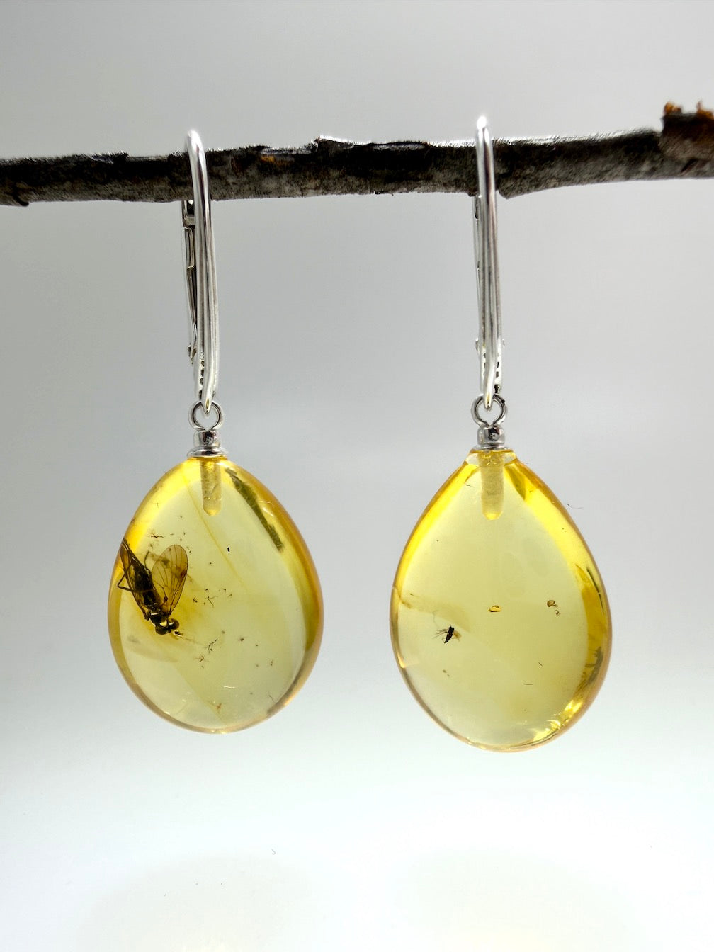 Handmade in Lithuania Genuine Baltic Amber Teardrop Earrings – Rare Insect Inclusions – Sterling Silver Lever Back Drops