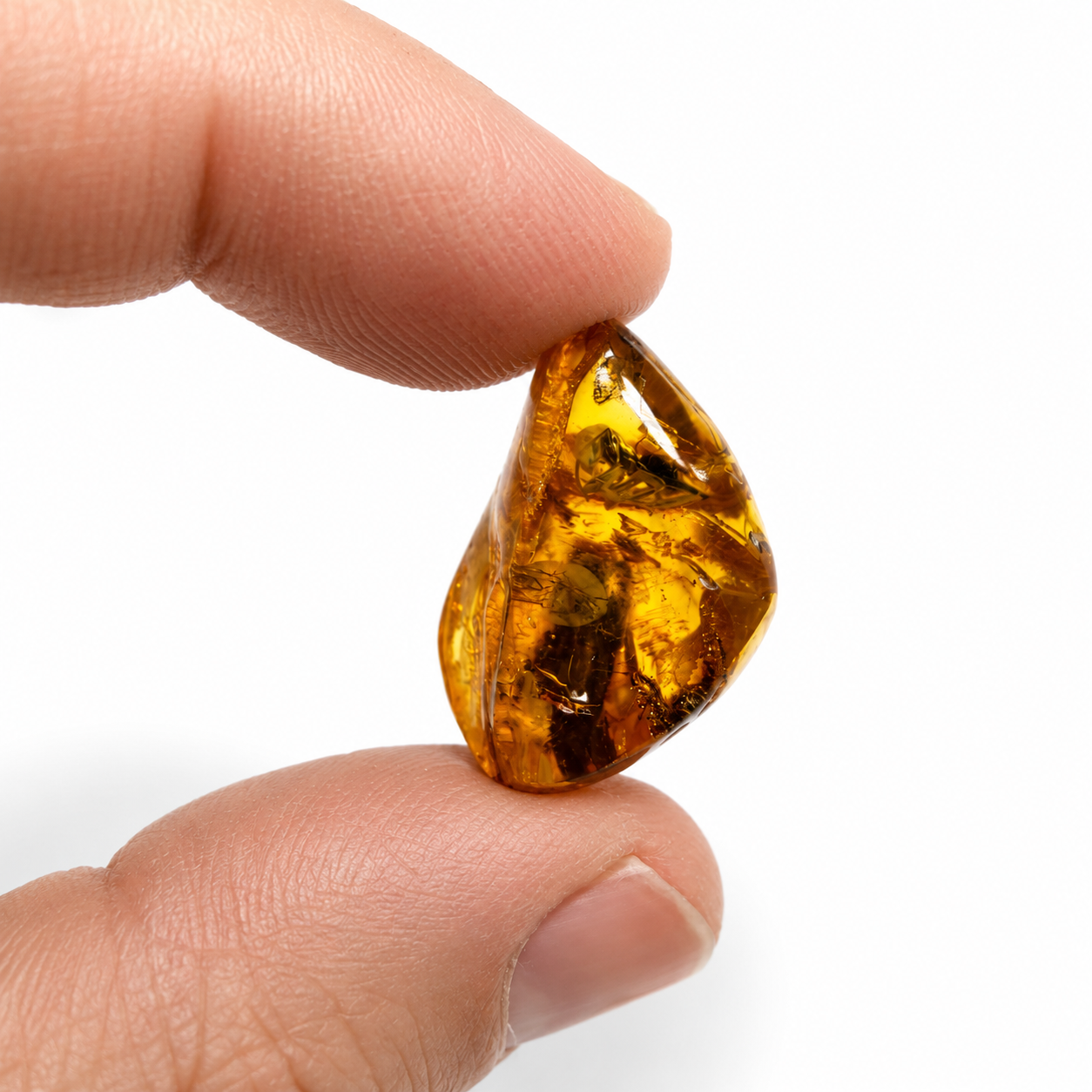 Extremely Rare Genuine Baltic Amber Hymenoptera Ant Inclusion – Museum Quality Fossil Specimen