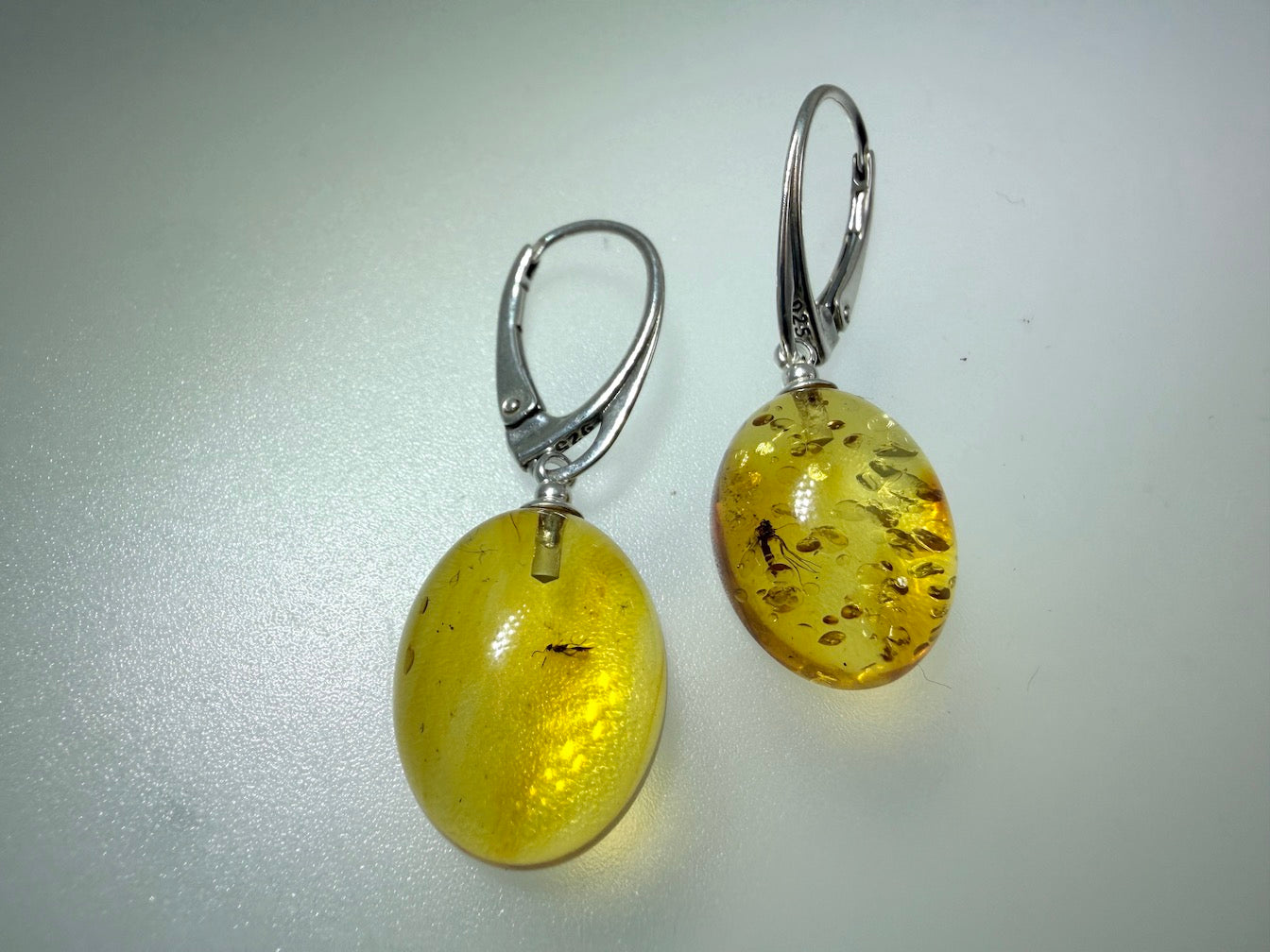 Extremely Rare Genuine Baltic Amber Lemon Insect Inclusion Earrings – Bubbles / Insects - Collector’s Grade Lever Back Design