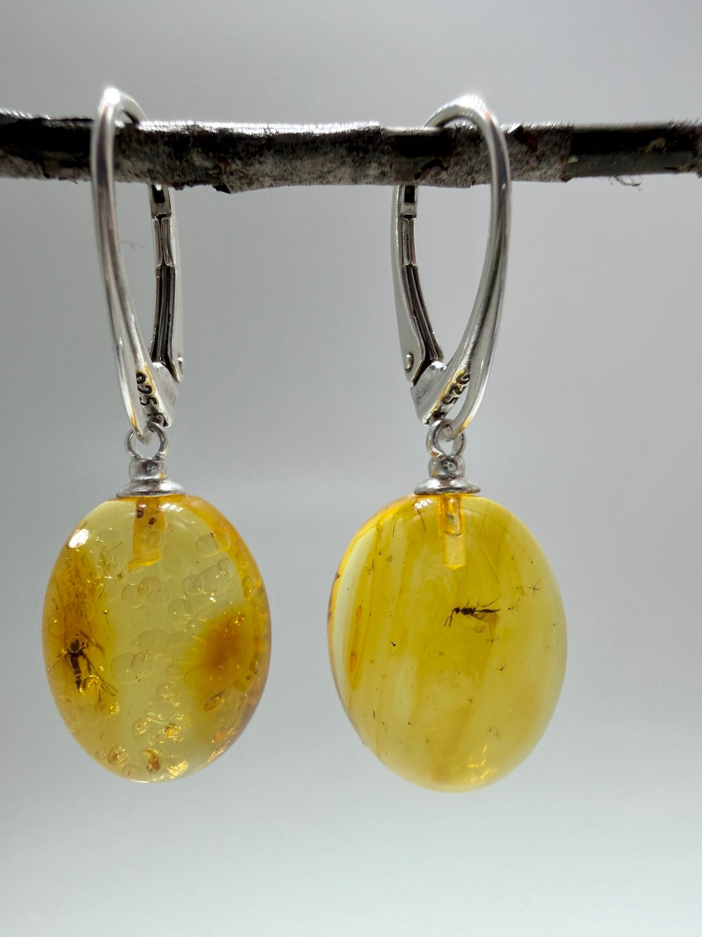 Extremely Rare Genuine Baltic Amber Lemon Insect Inclusion Earrings – Bubbles / Insects - Collector’s Grade Lever Back Design