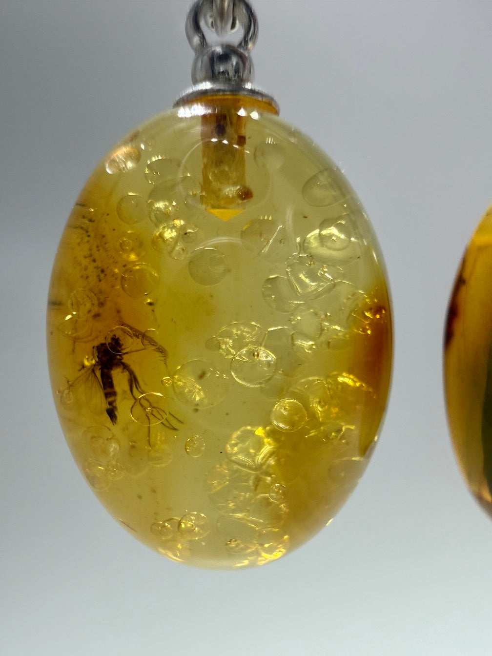 Extremely Rare Genuine Baltic Amber Lemon Insect Inclusion Earrings – Bubbles / Insects - Collector’s Grade Lever Back Design