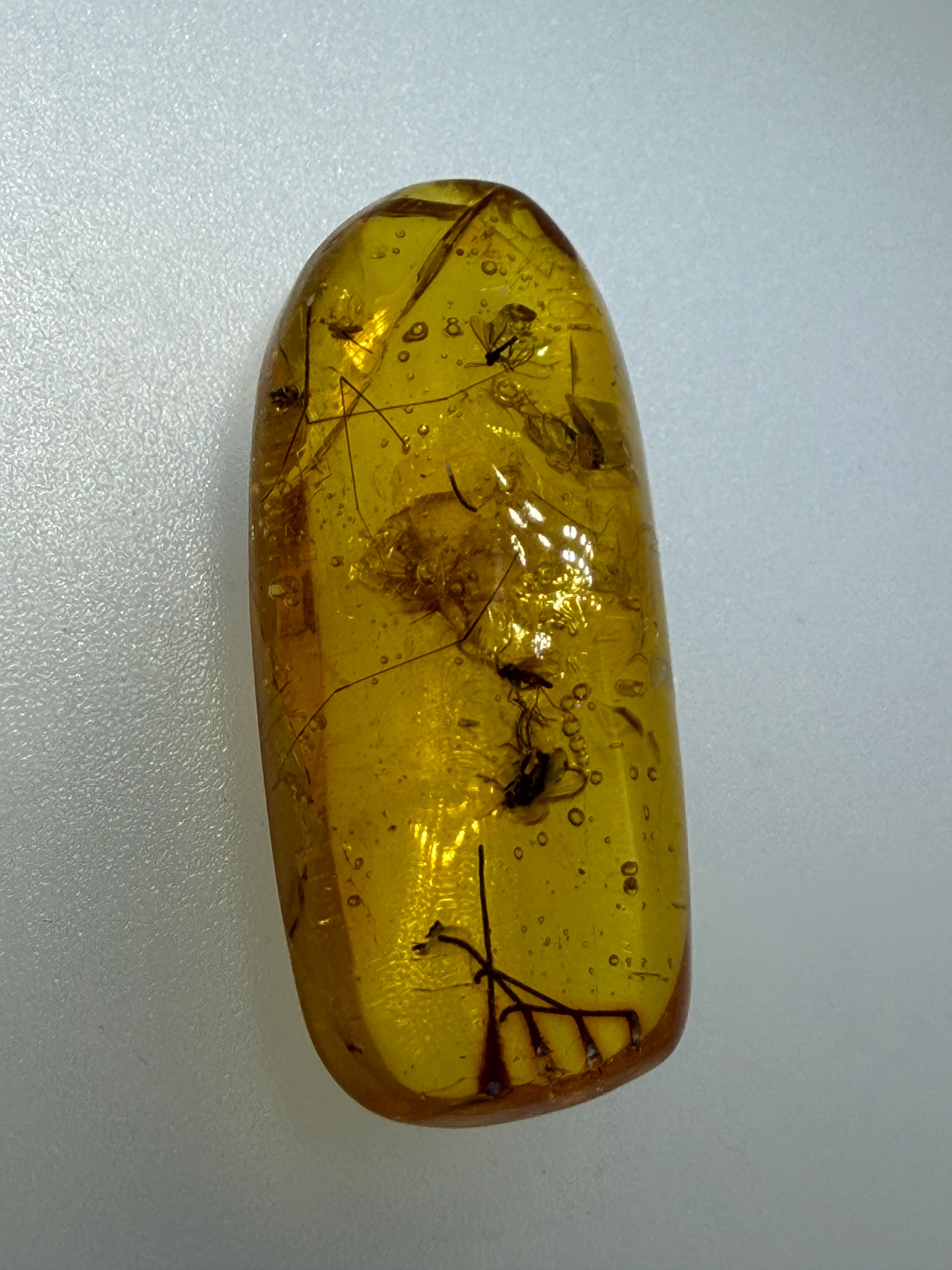 Extremely Rare Genuine Baltic Amber Multiple Fly Inclusion – Museum Quality Fossil Specimen with Natural Air Bubbles 