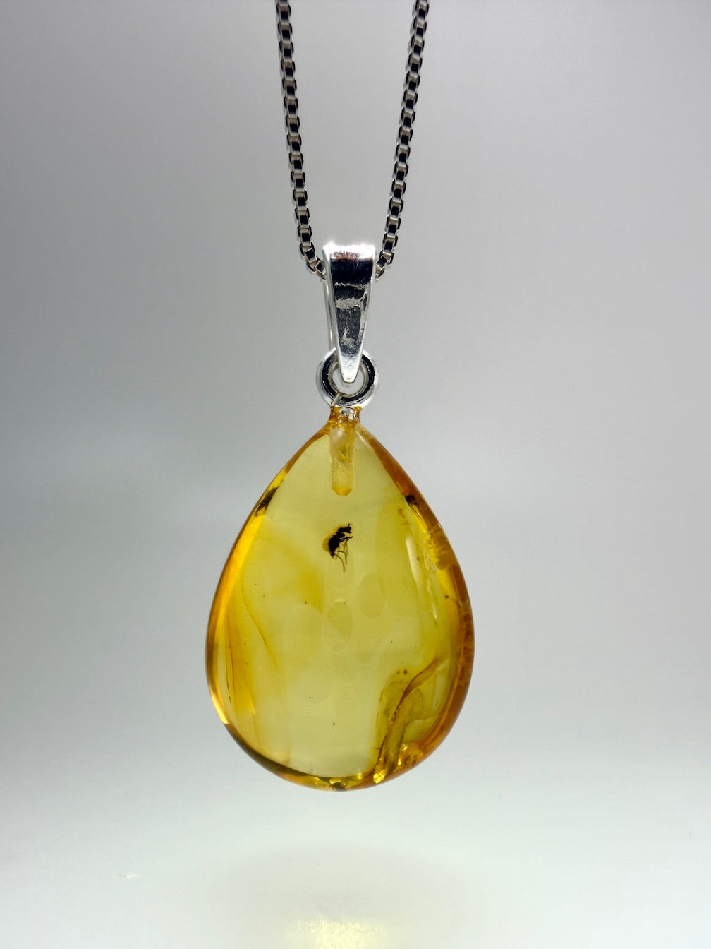 Fossil Inclusion Genuine Baltic Amber & Sterling Silver Lemon Amber Teardrop Pendant