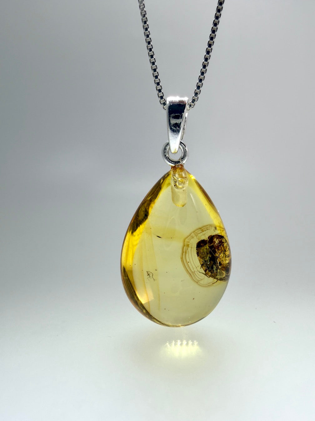 Fossil Inclusion Genuine Baltic Amber & Sterling Silver Lemon Amber Teardrop Pendant