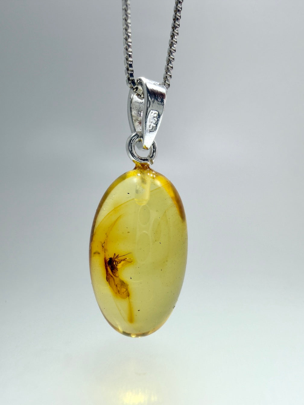 Fossil Inclusion Genuine Baltic Amber & Sterling Silver Oval Drop Pendant 