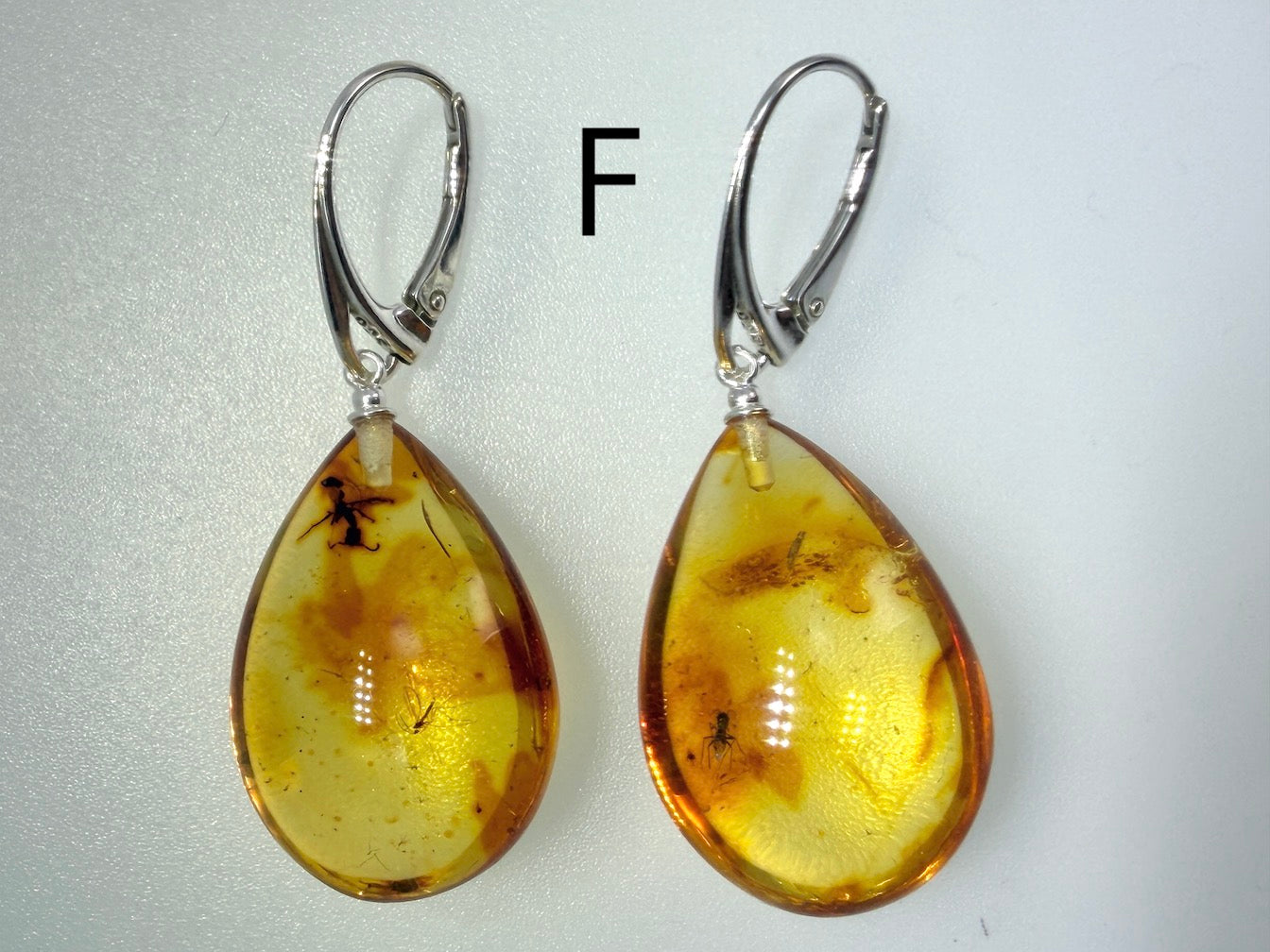 Genuine Baltic Amber Bug Inclusion Earrings • Sterling Silver Lever Back