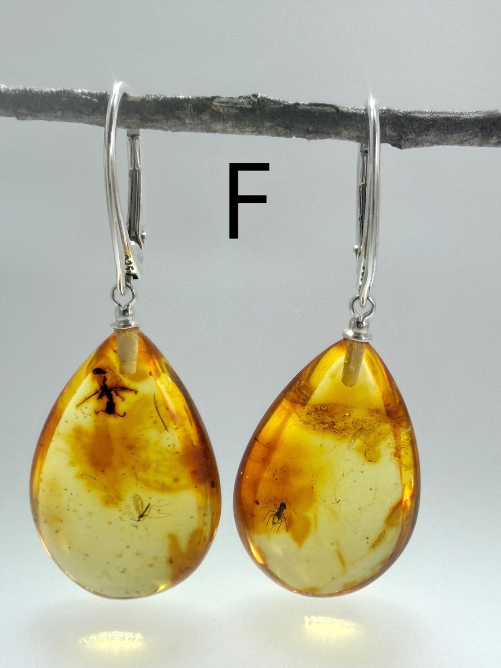 Genuine Baltic Amber Bug Inclusion Earrings • Sterling Silver Lever Back
