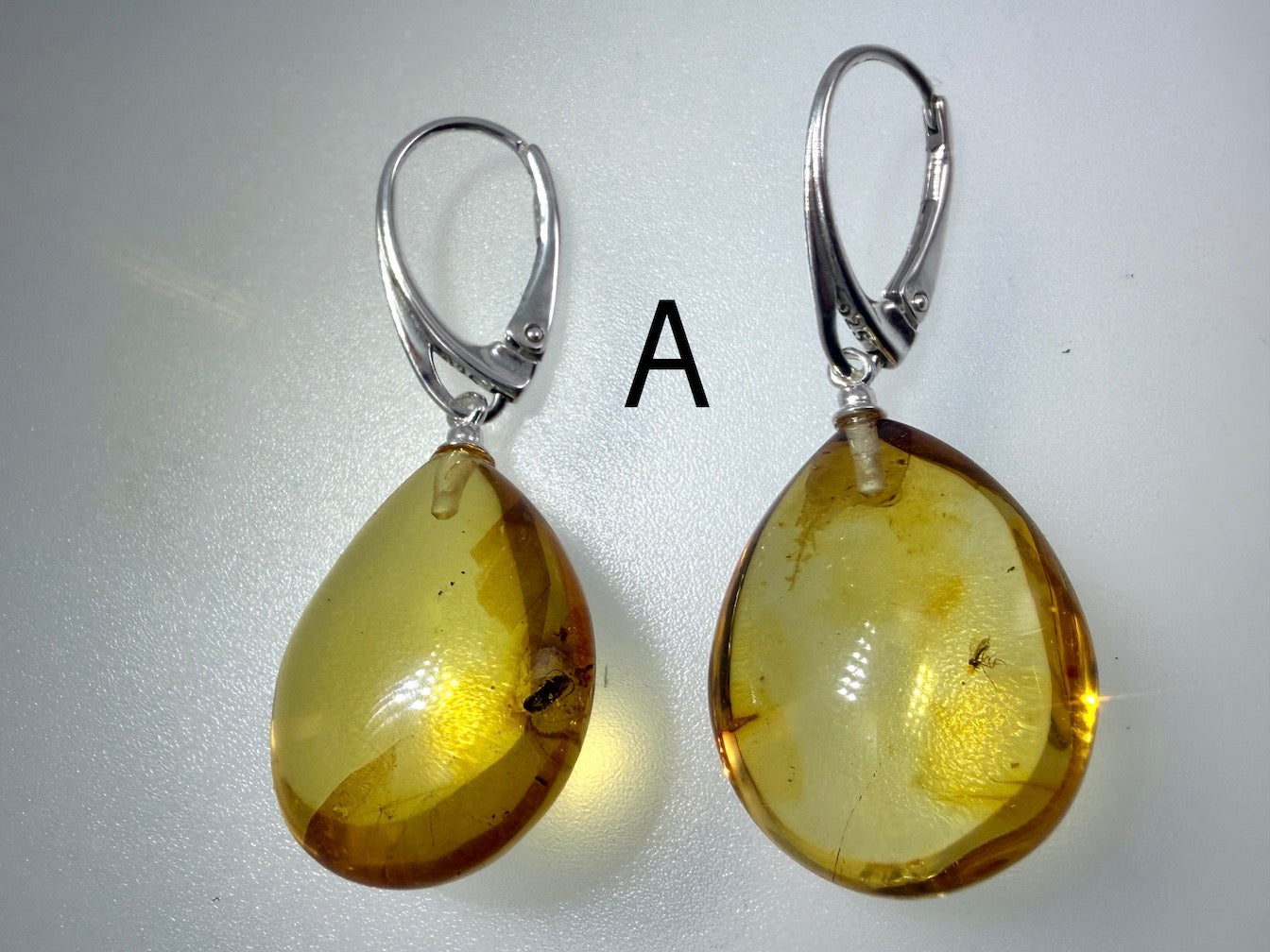 Genuine Baltic Amber Bug Inclusion Earrings • Sterling Silver Lever Back