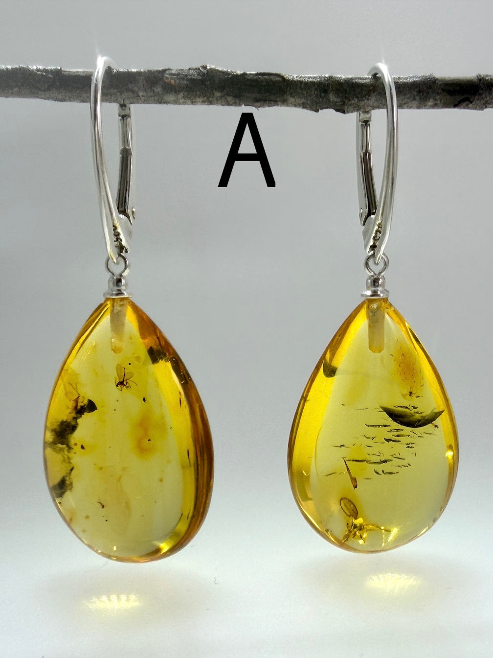 Genuine Baltic Amber Bug Inclusion Earrings • Sterling Silver Lever Back