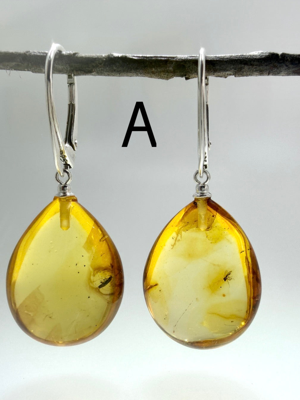 Genuine Baltic Amber Bug Inclusion Earrings • Sterling Silver Lever Back