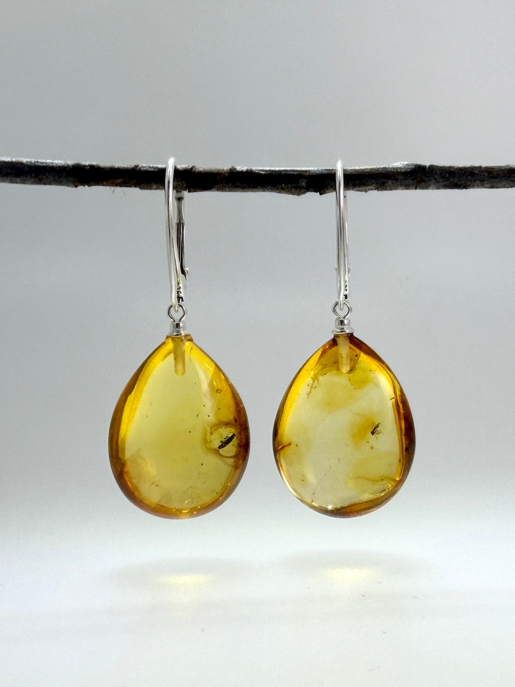 Genuine Baltic Amber Bug Inclusion Earrings • Sterling Silver Lever Back