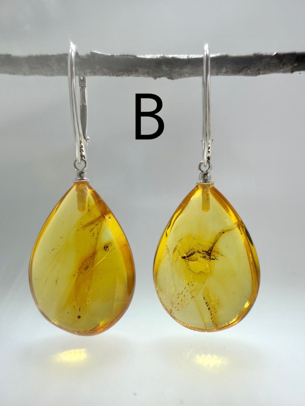 Genuine Baltic Amber Bug Inclusion Earrings • Sterling Silver Lever Back