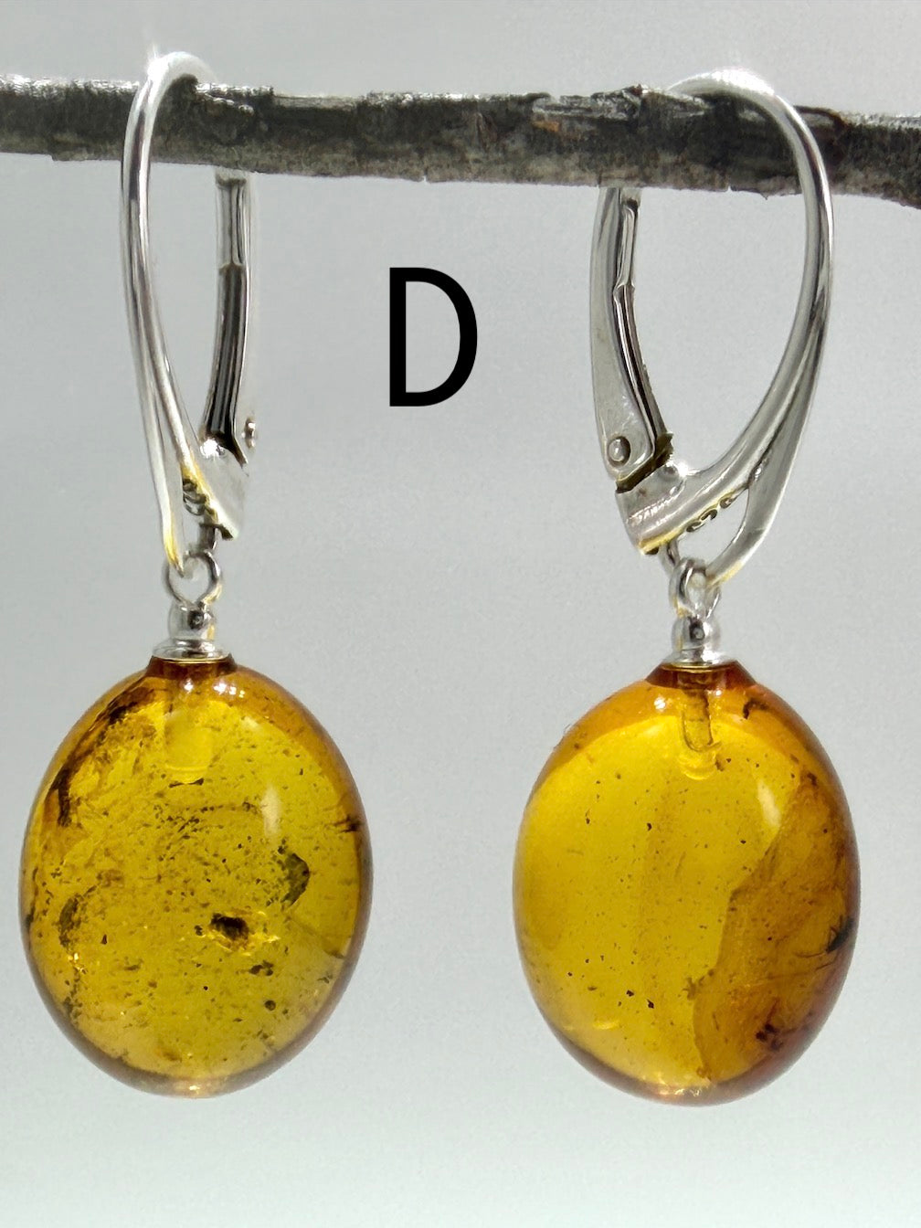 Genuine Baltic Amber Bug Inclusion Earrings • Sterling Silver Lever Back