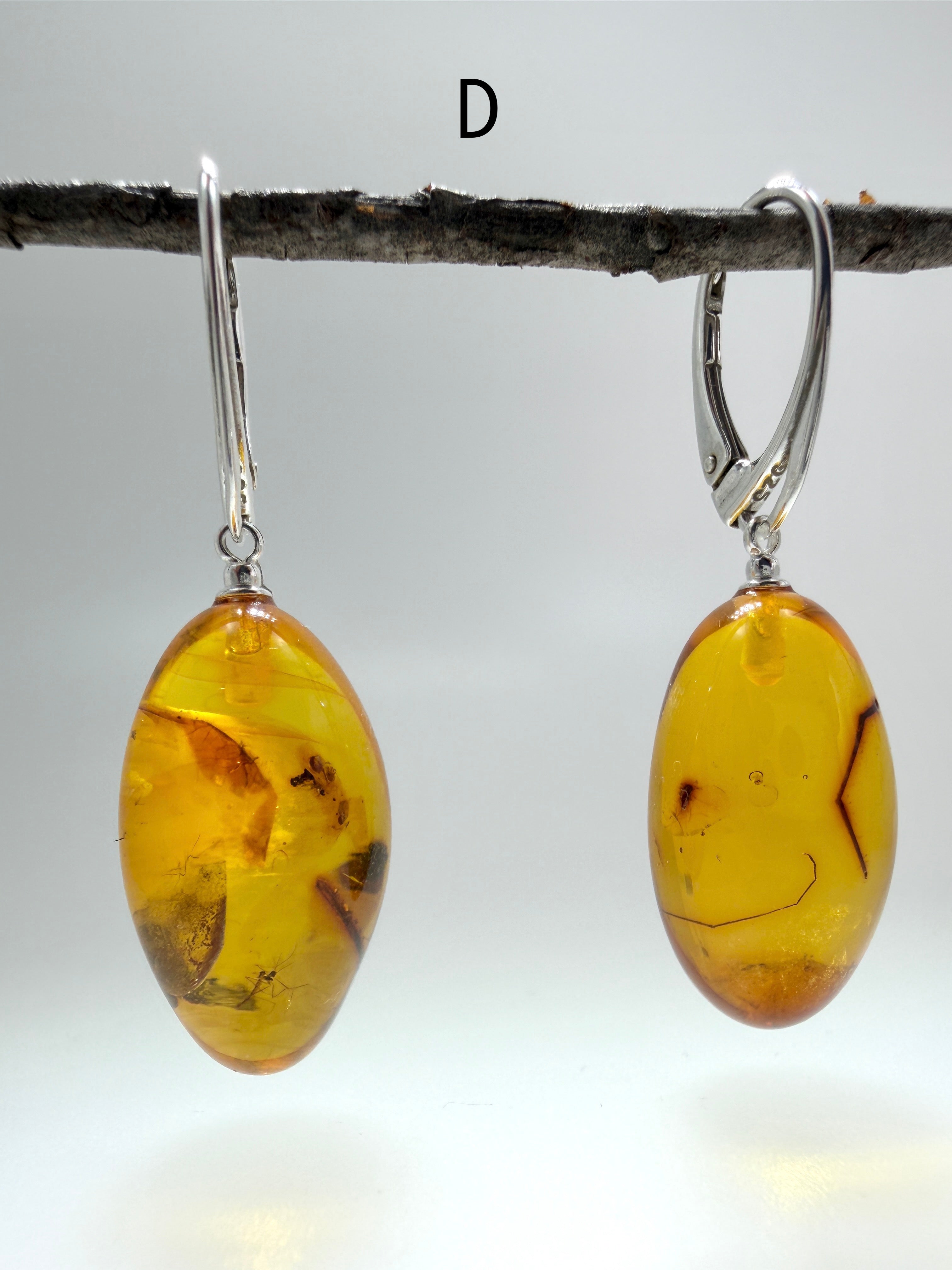 Genuine Baltic Amber Bug Inclusion Earrings • Sterling Silver Lever Back