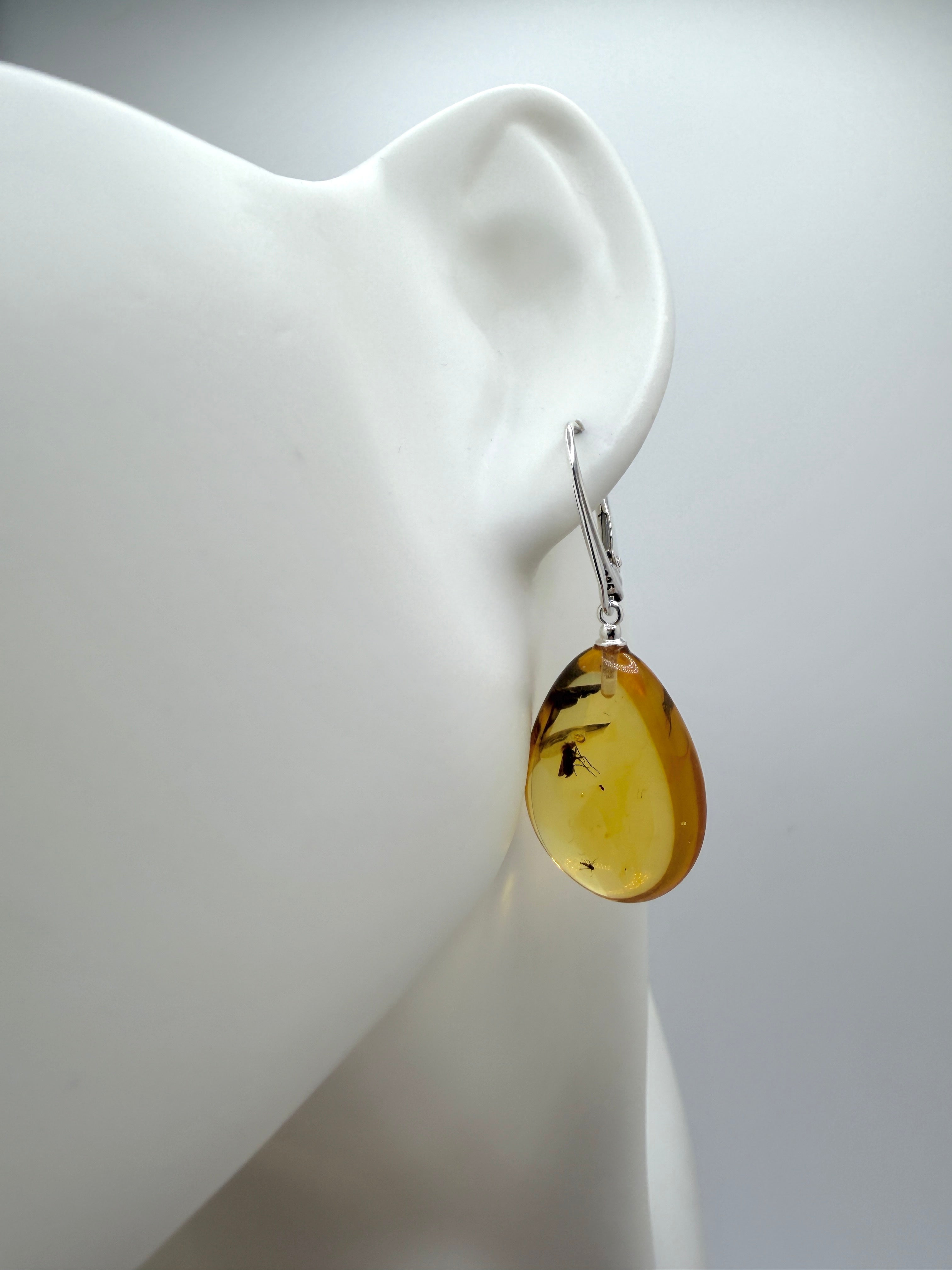 Genuine Baltic Amber Bug Inclusion Earrings • Sterling Silver Lever Back