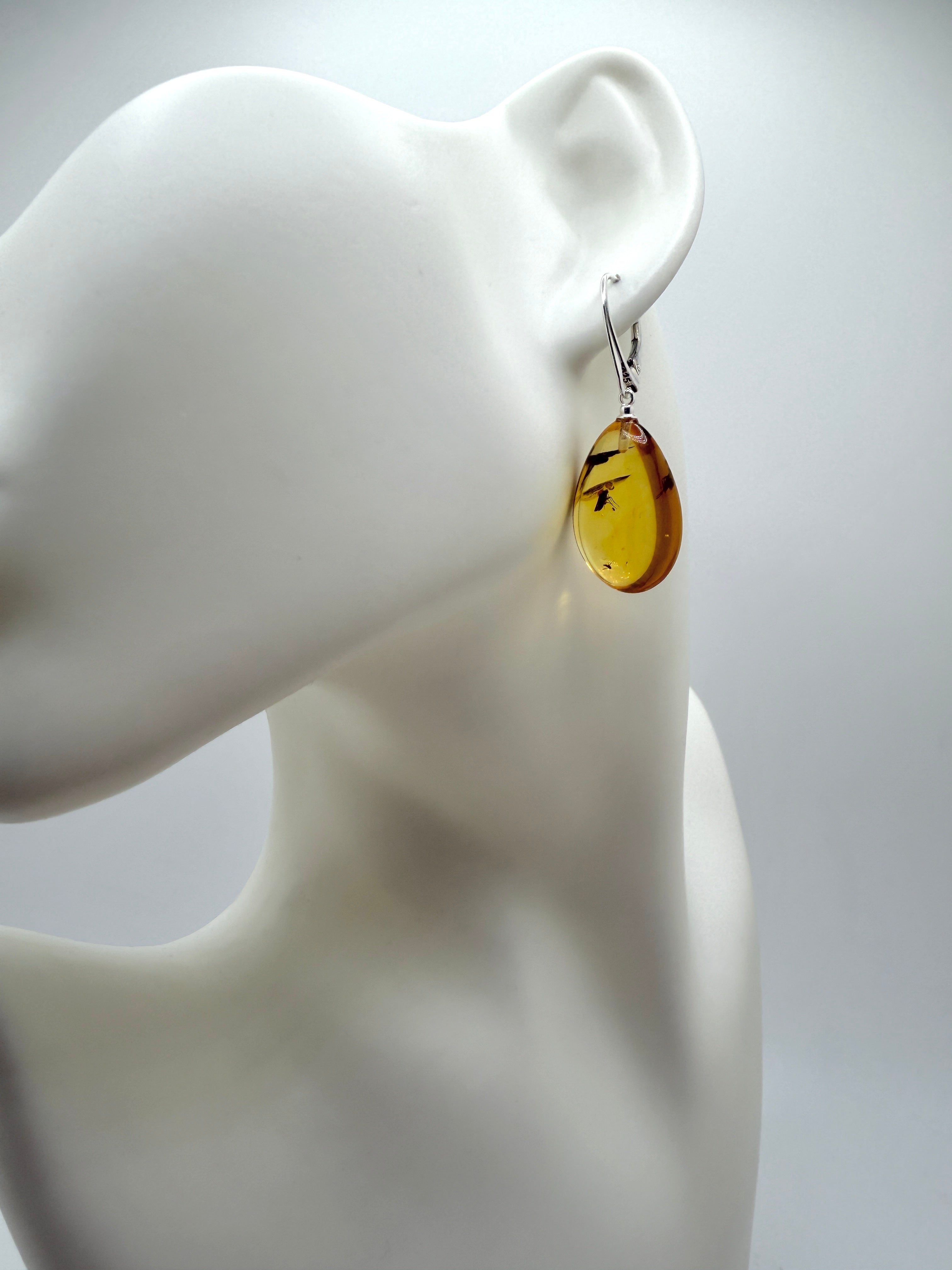 Genuine Baltic Amber Bug Inclusion Earrings • Sterling Silver Lever Back