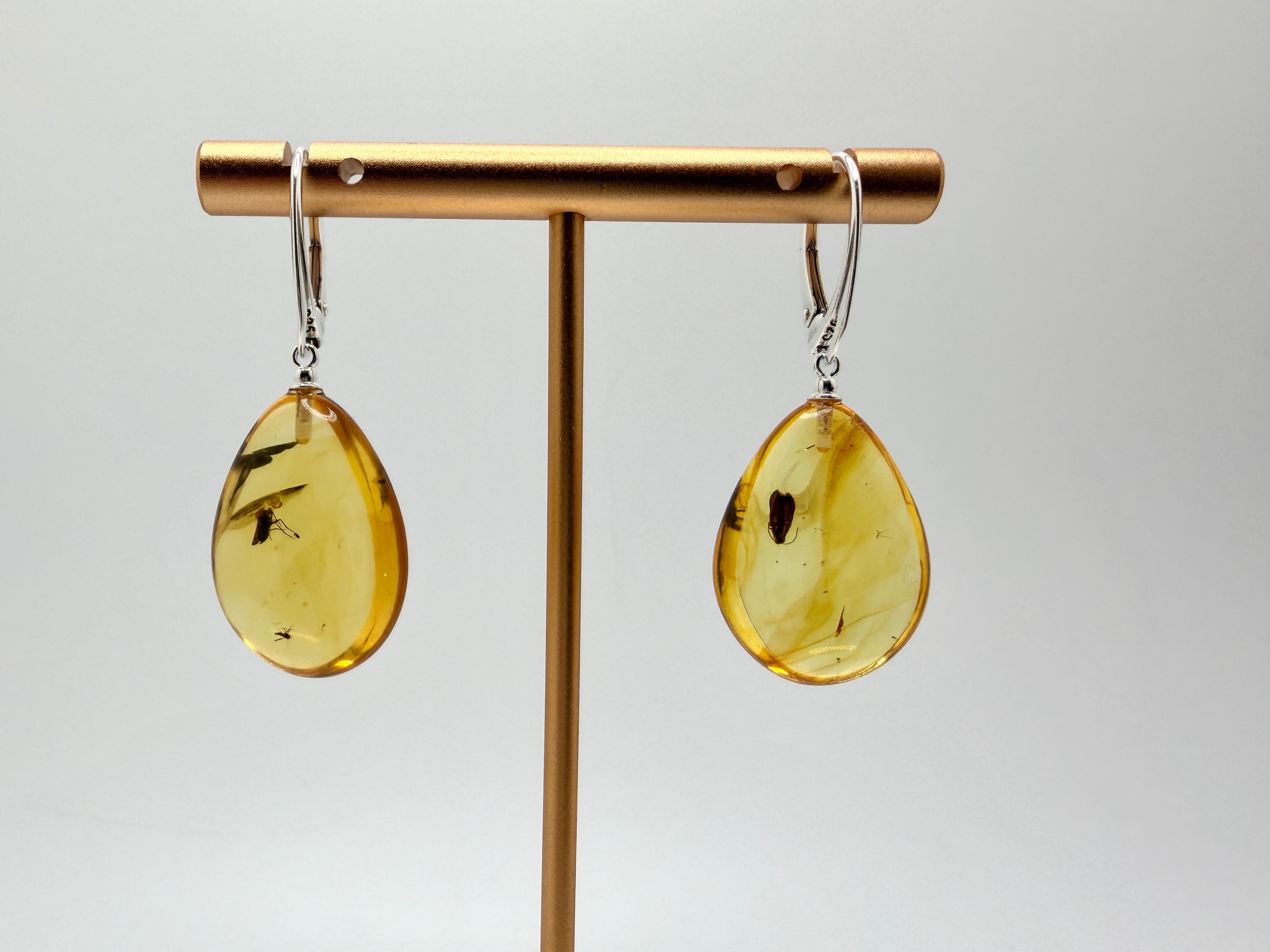 Genuine Baltic Amber Bug Inclusion Earrings • Sterling Silver Lever Back