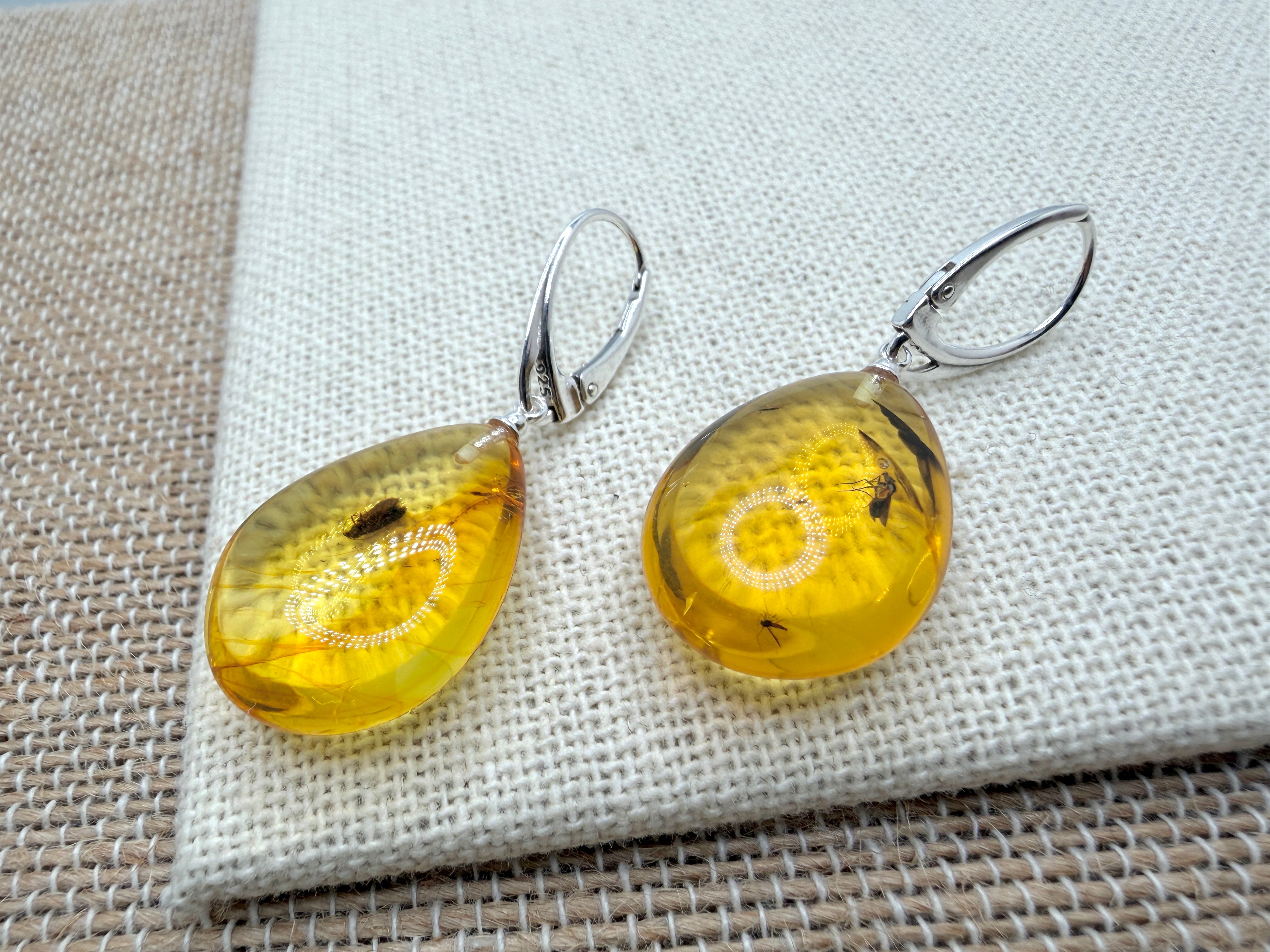 Genuine Baltic Amber Bug Inclusion Earrings • Sterling Silver Lever Back