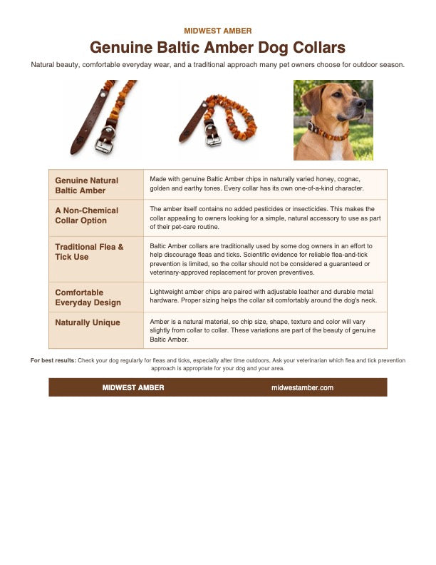 Genuine Baltic Amber Dog Collar, Natural Unpolished Amber Pet Collar, Adjustable Leather Flea & Tick Collar, Puppy Dog Collar