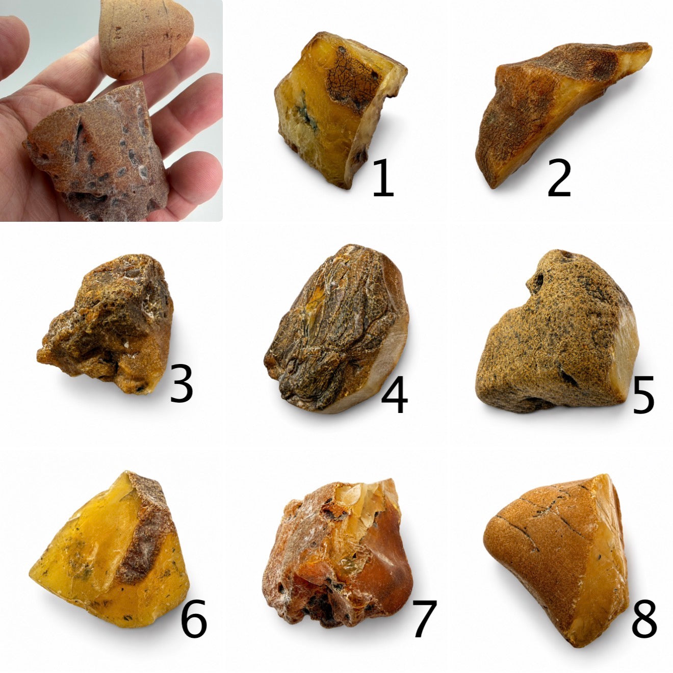 Genuine Baltic Amber Rough Stones 