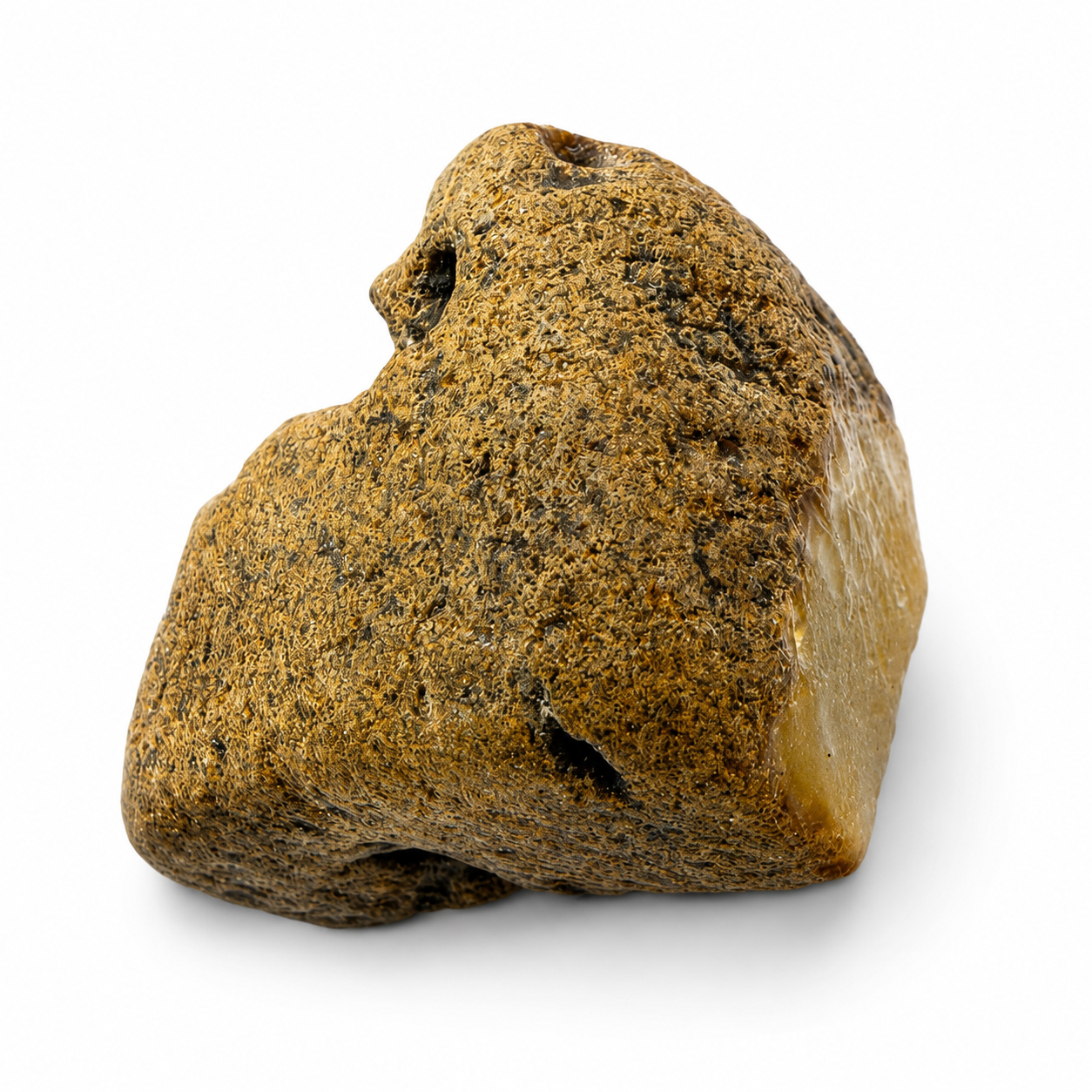 Genuine Baltic Amber Rough Stones 
