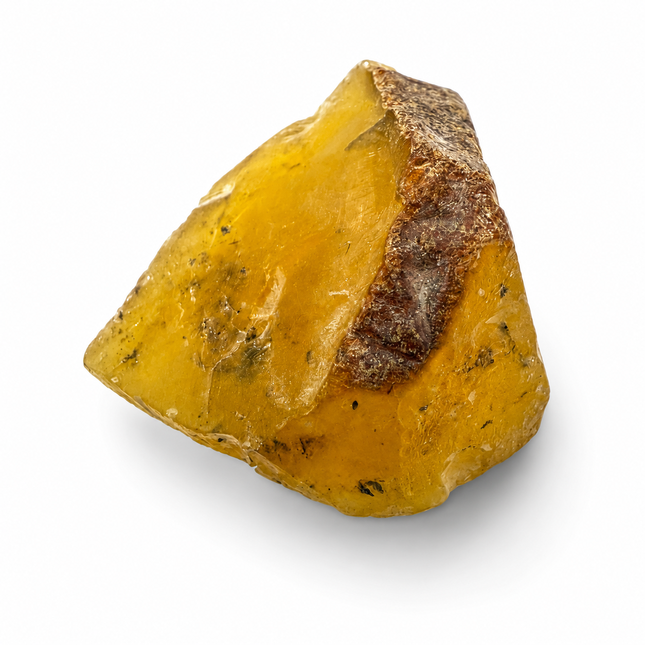 Genuine Baltic Amber Rough Stones 