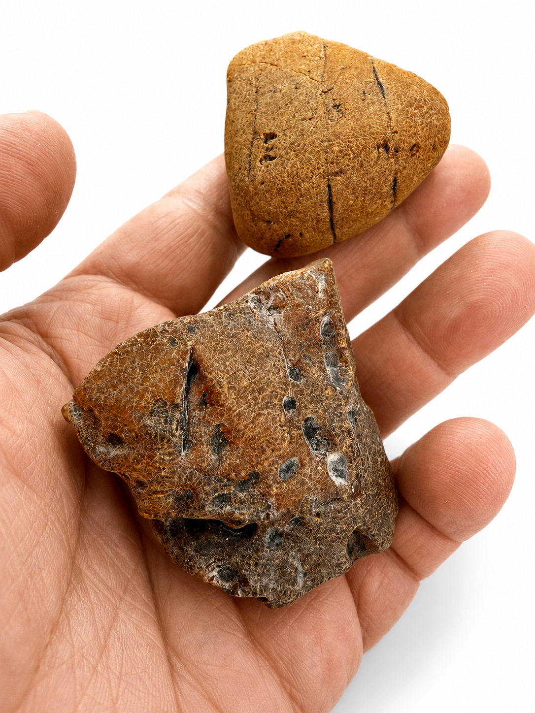 Genuine Baltic Amber Rough Stones 