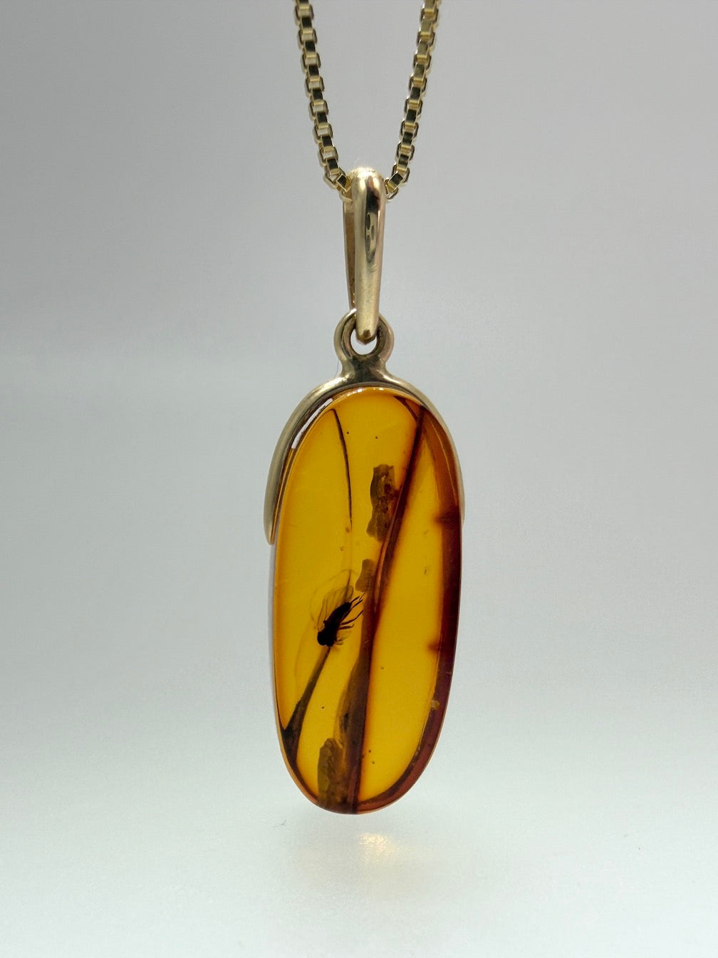 14K Gold Honey Baltic Amber Oval Pendant with Rare Bug Inclusion
