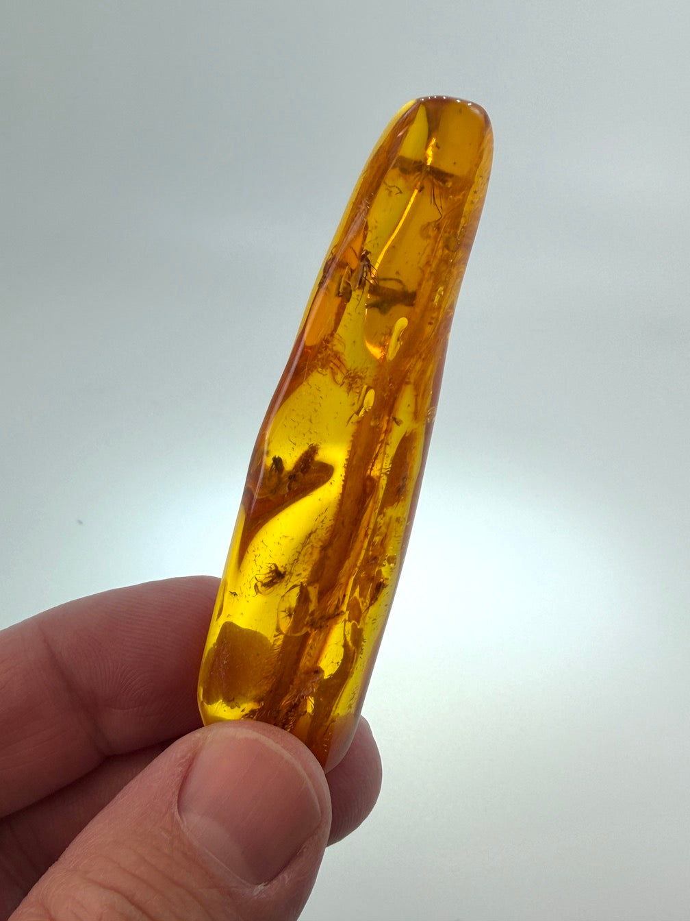 Massive Baltic Amber Inclusion Stone – Multiple Fossil Flies with Ancient Branch – Museum Grade Collector Piece