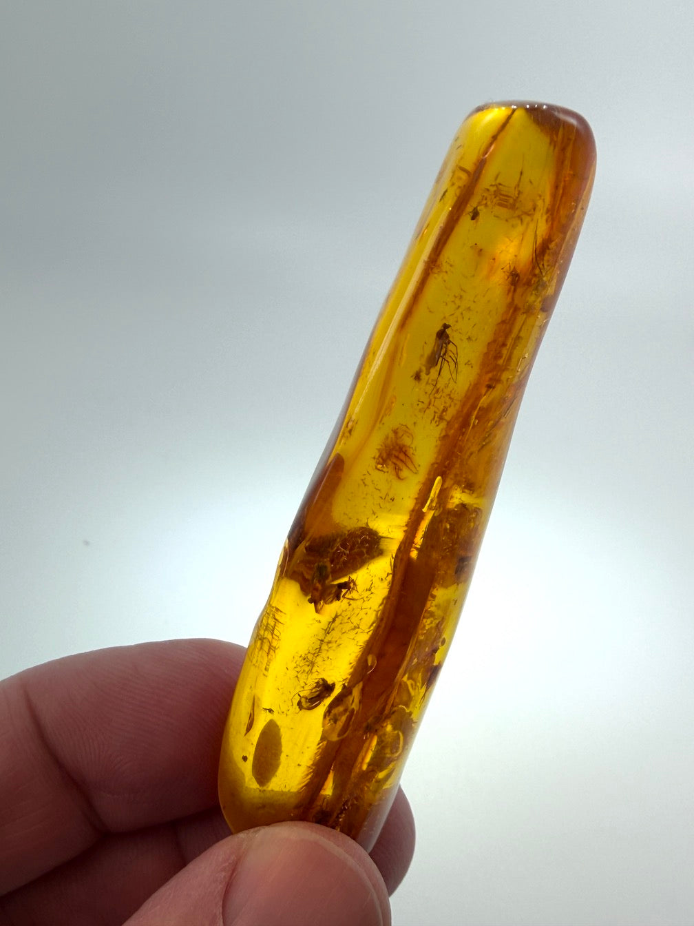 Massive Baltic Amber Inclusion Stone – Multiple Fossil Flies with Ancient Branch – Museum Grade Collector Piece