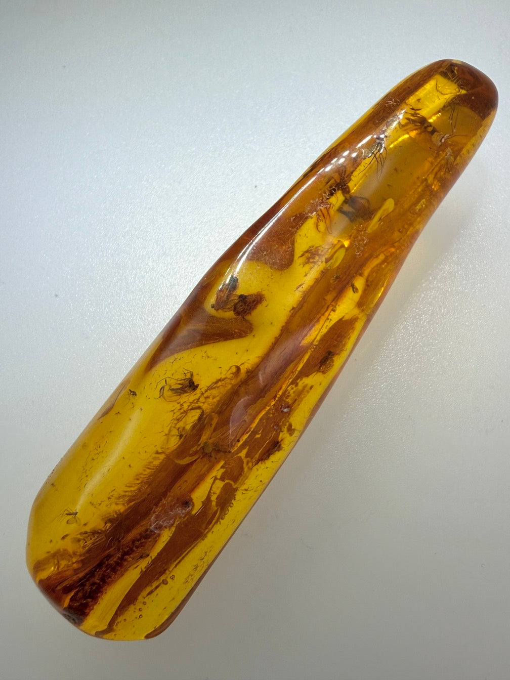 Massive Baltic Amber Inclusion Stone – Multiple Fossil Flies with Ancient Branch – Museum Grade Collector Piece