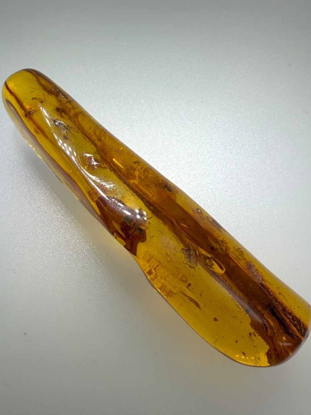 Massive Baltic Amber Inclusion Stone – Multiple Fossil Flies with Ancient Branch – Museum Grade Collector Piece