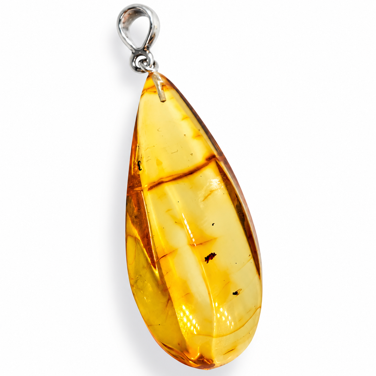 Rare Baltic Amber Insect Inclusion Pendant Necklace, Genuine Amber Fossil Jewelry,