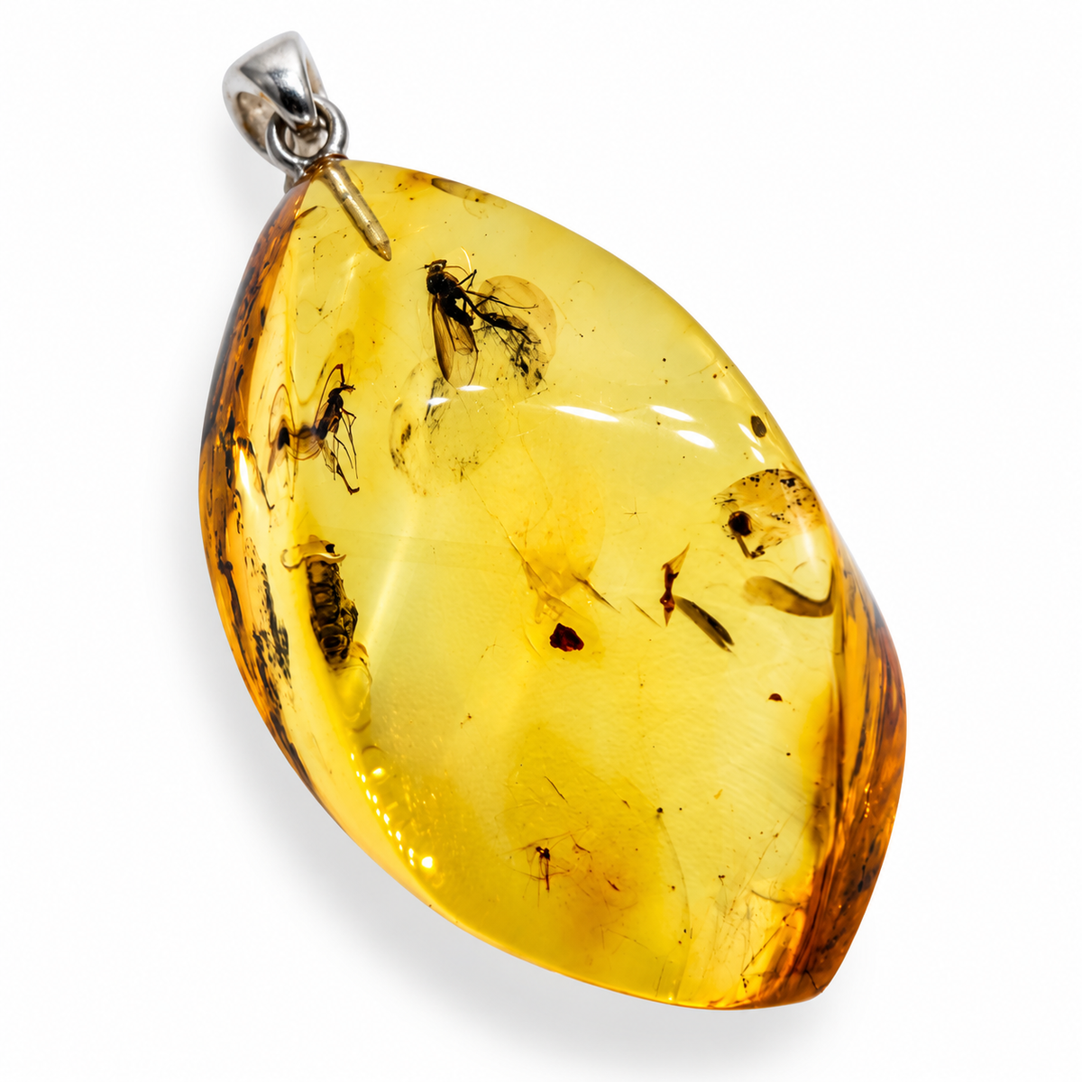 Rare Baltic Amber Insect Inclusion Pendant Necklace, Genuine Amber Fossil Jewelry,