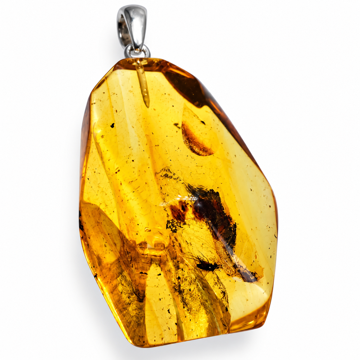 Rare Baltic Amber Insect Inclusion Pendant Necklace, Genuine Amber Fossil Jewelry,
