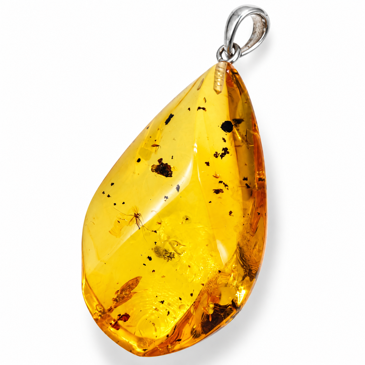 Rare Baltic Amber Insect Inclusion Pendant Necklace, Genuine Amber Fossil Jewelry,
