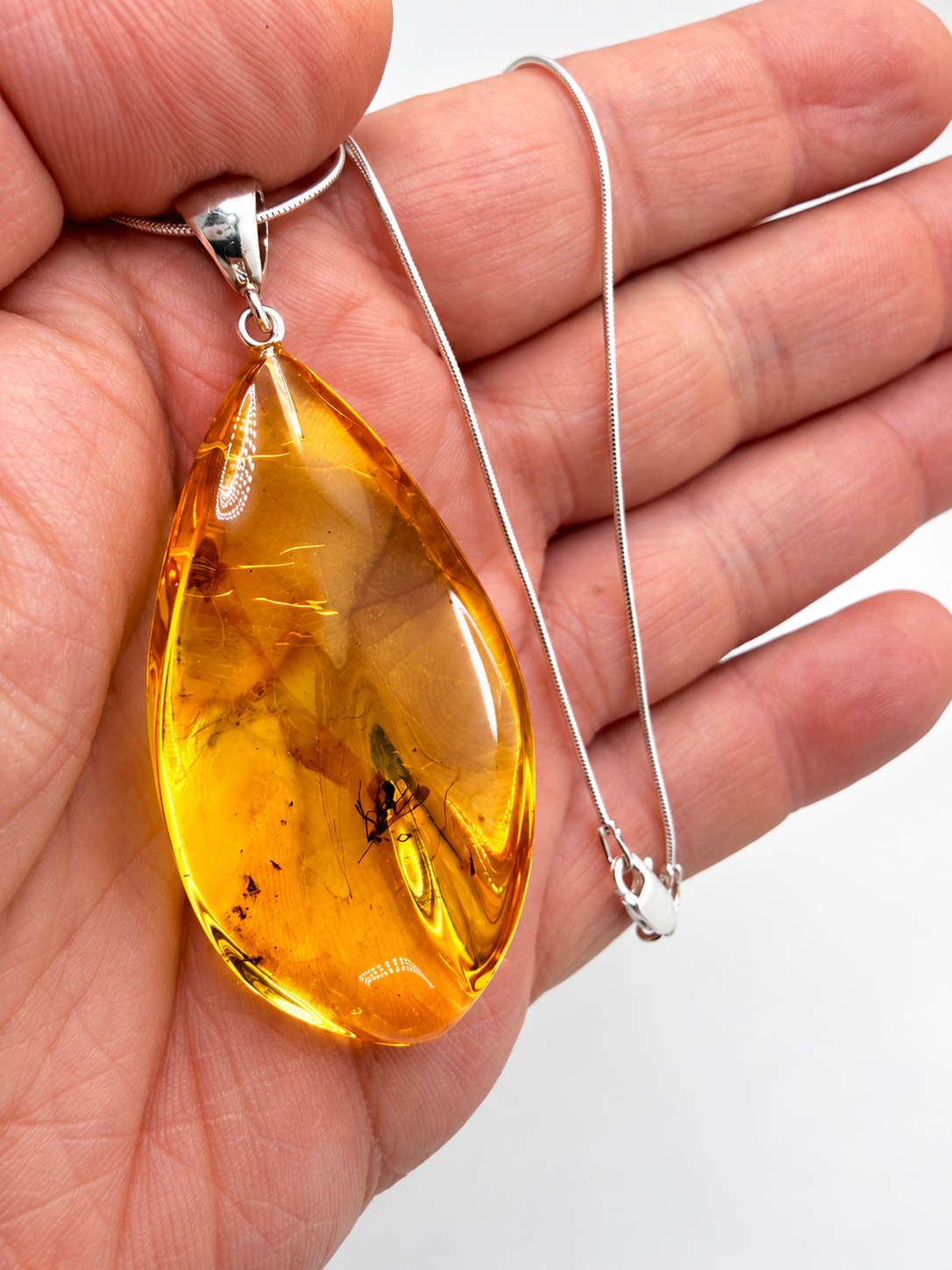 Rare Baltic Amber Insect Inclusion Pendant Necklace, Genuine Amber Fossil Jewelry,