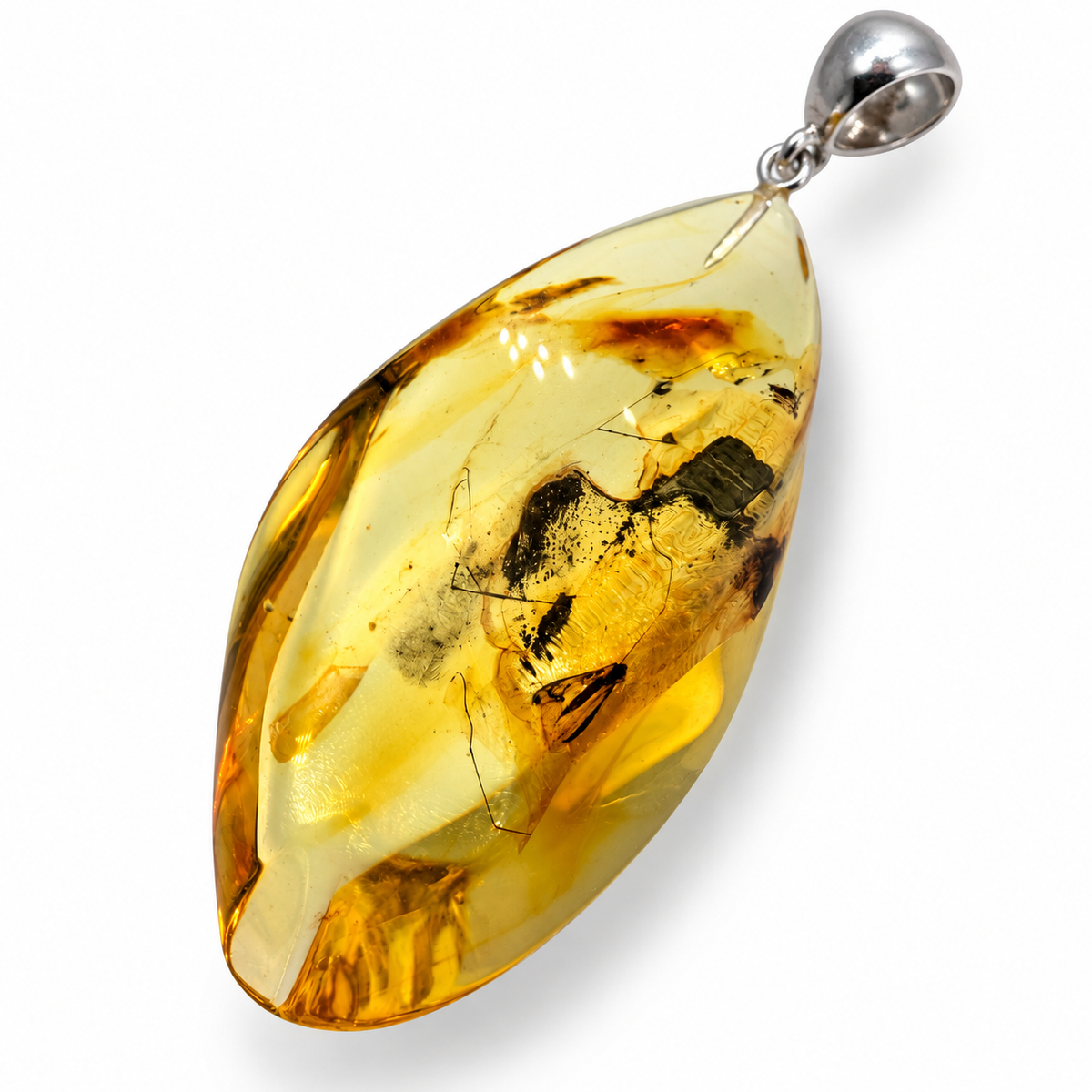 Rare Baltic Amber Insect Inclusion Pendant Necklace, Genuine Amber Fossil Jewelry,