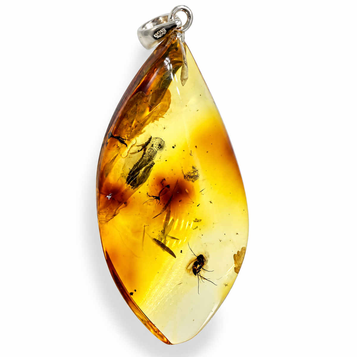 Rare Baltic Amber Insect Inclusion Pendant Necklace, Genuine Amber Fossil Jewelry,