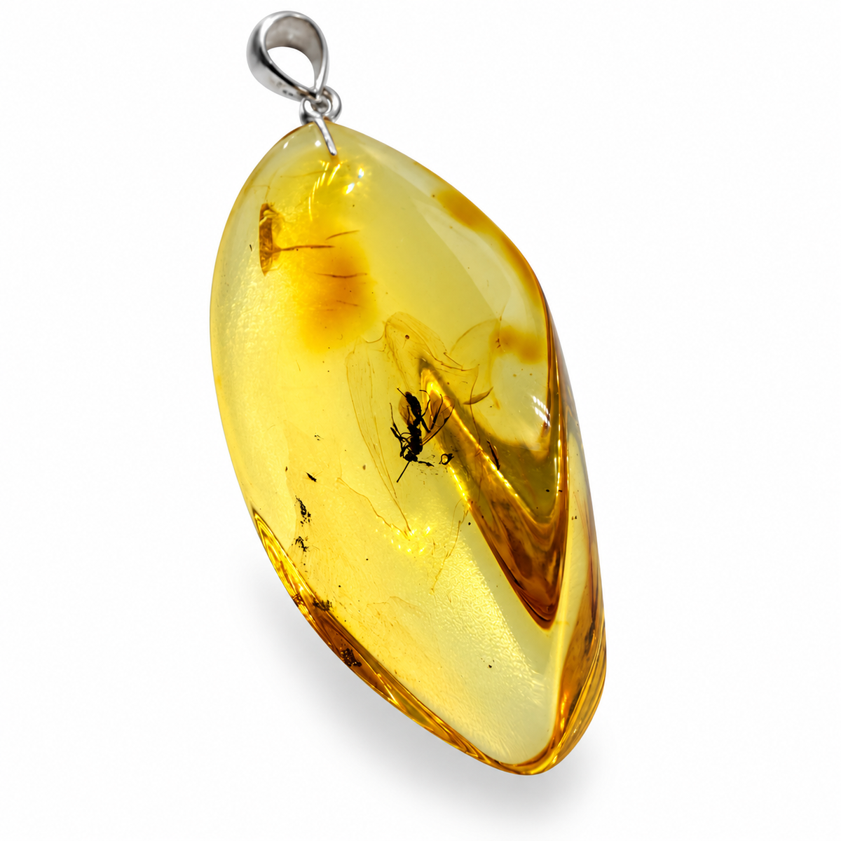 Rare Baltic Amber Insect Inclusion Pendant Necklace, Genuine Amber Fossil Jewelry,