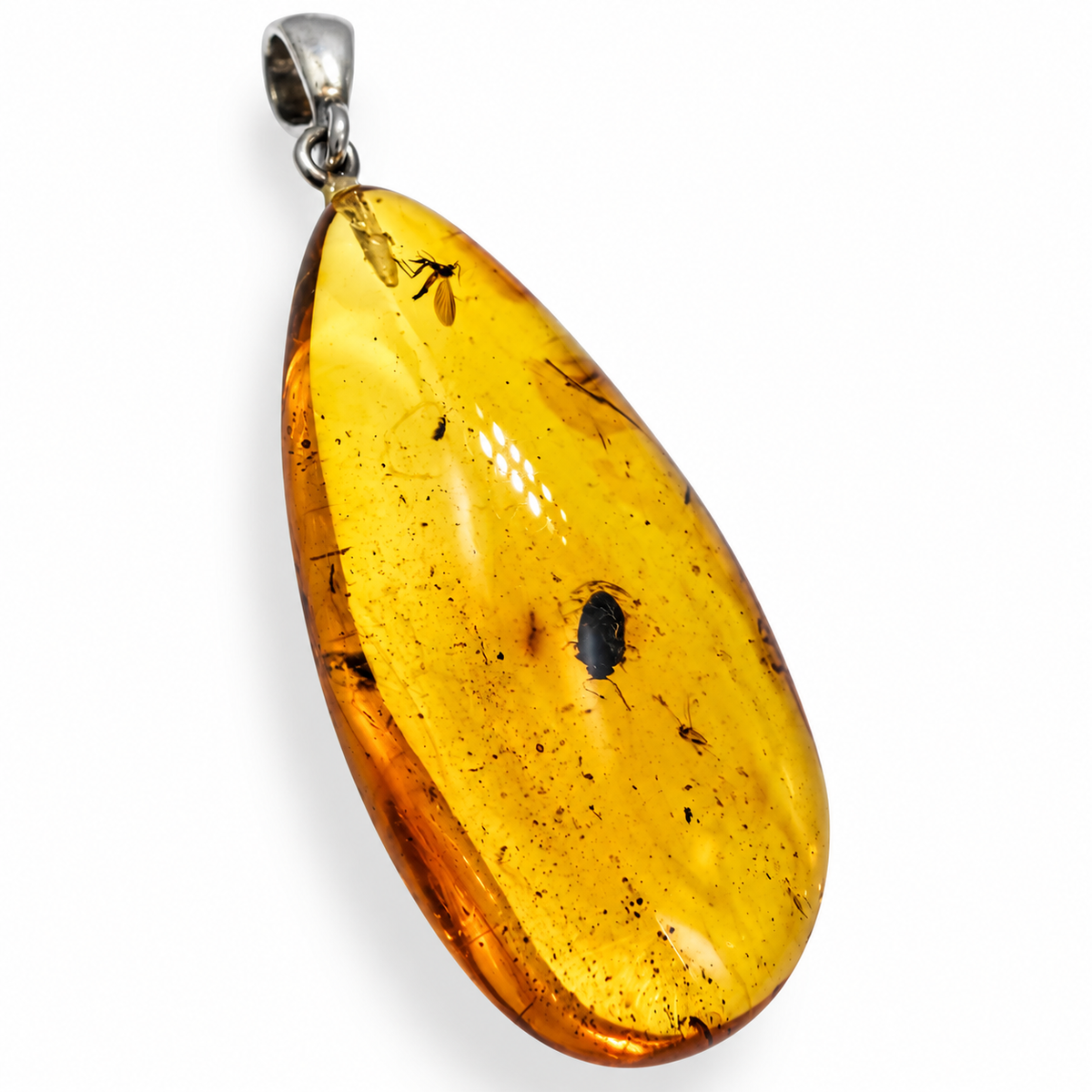 Rare Baltic Amber Insect Inclusion Pendant Necklace, Genuine Amber Fossil Jewelry,