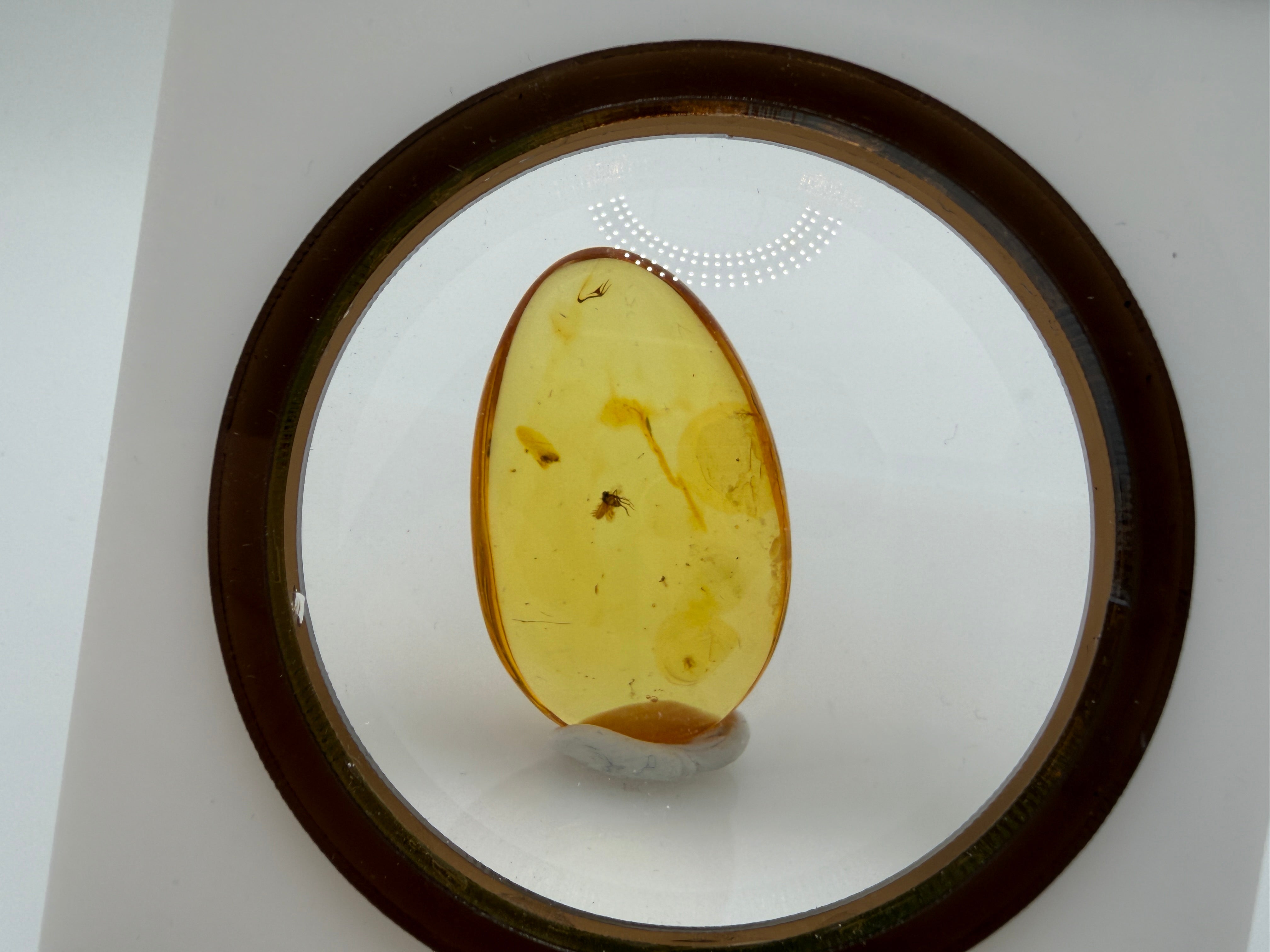 Rare Genuine Baltic Amber Long-Legged Fly Inclusion 