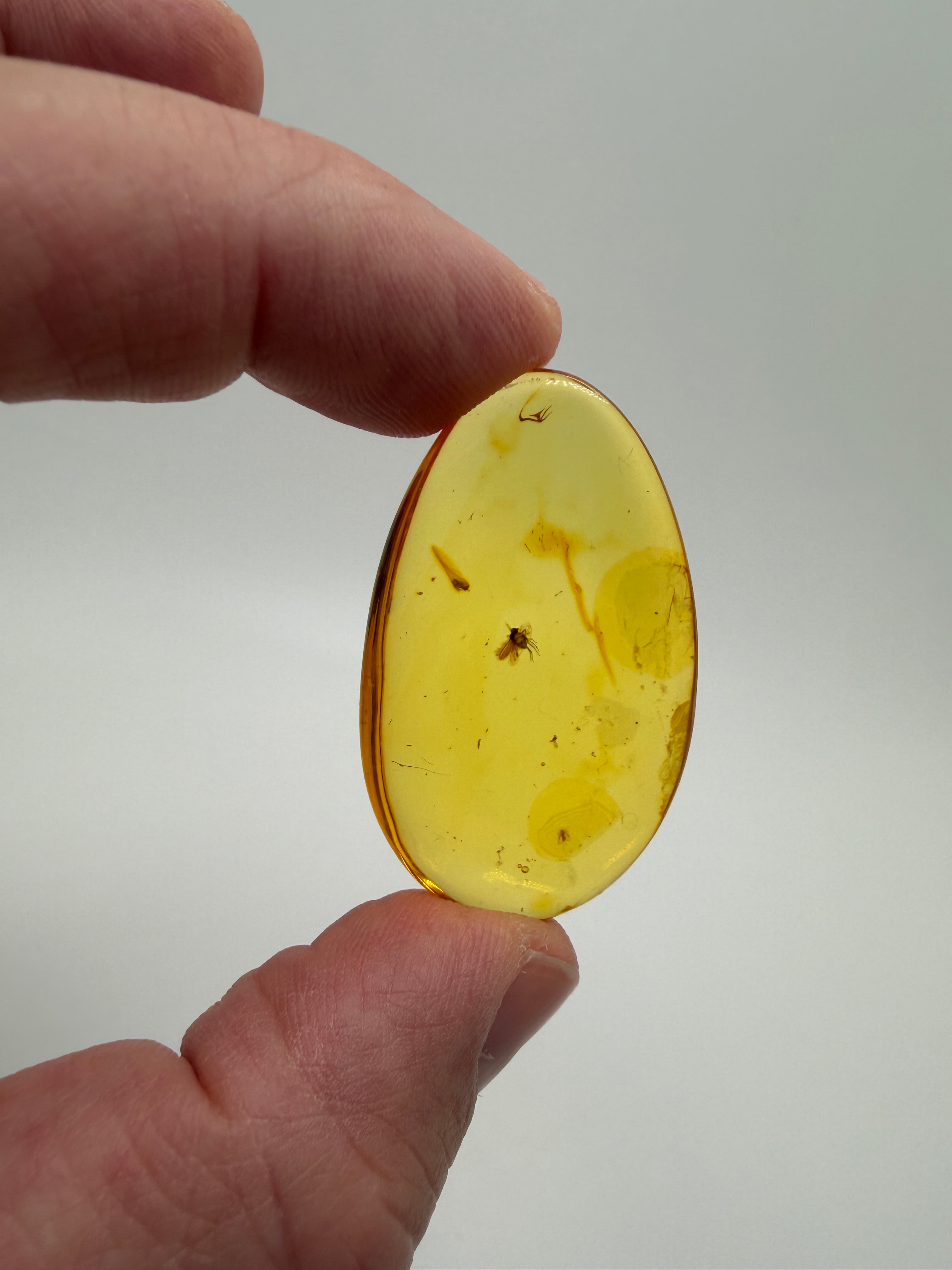 Rare Genuine Baltic Amber Long-Legged Fly Inclusion 