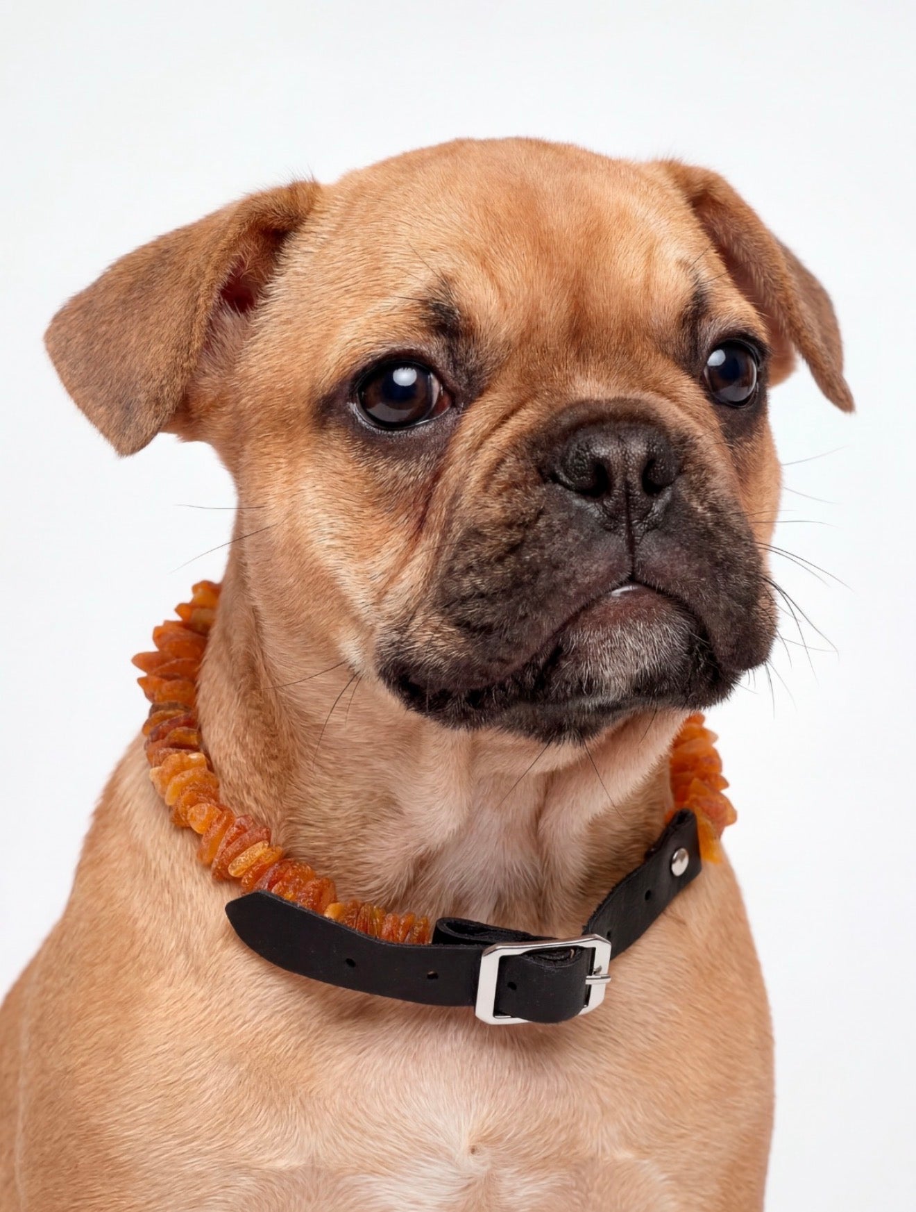 Genuine Baltic Amber Natural Unpolished Dog Collar Necklace