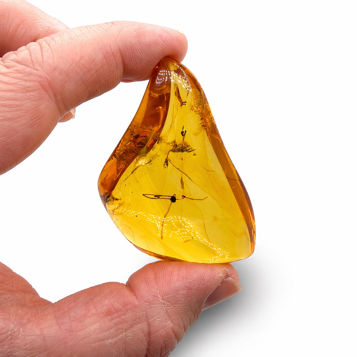 Genuine Baltic Amber Collector Chunks – Museum Quality Fossil Amber wi