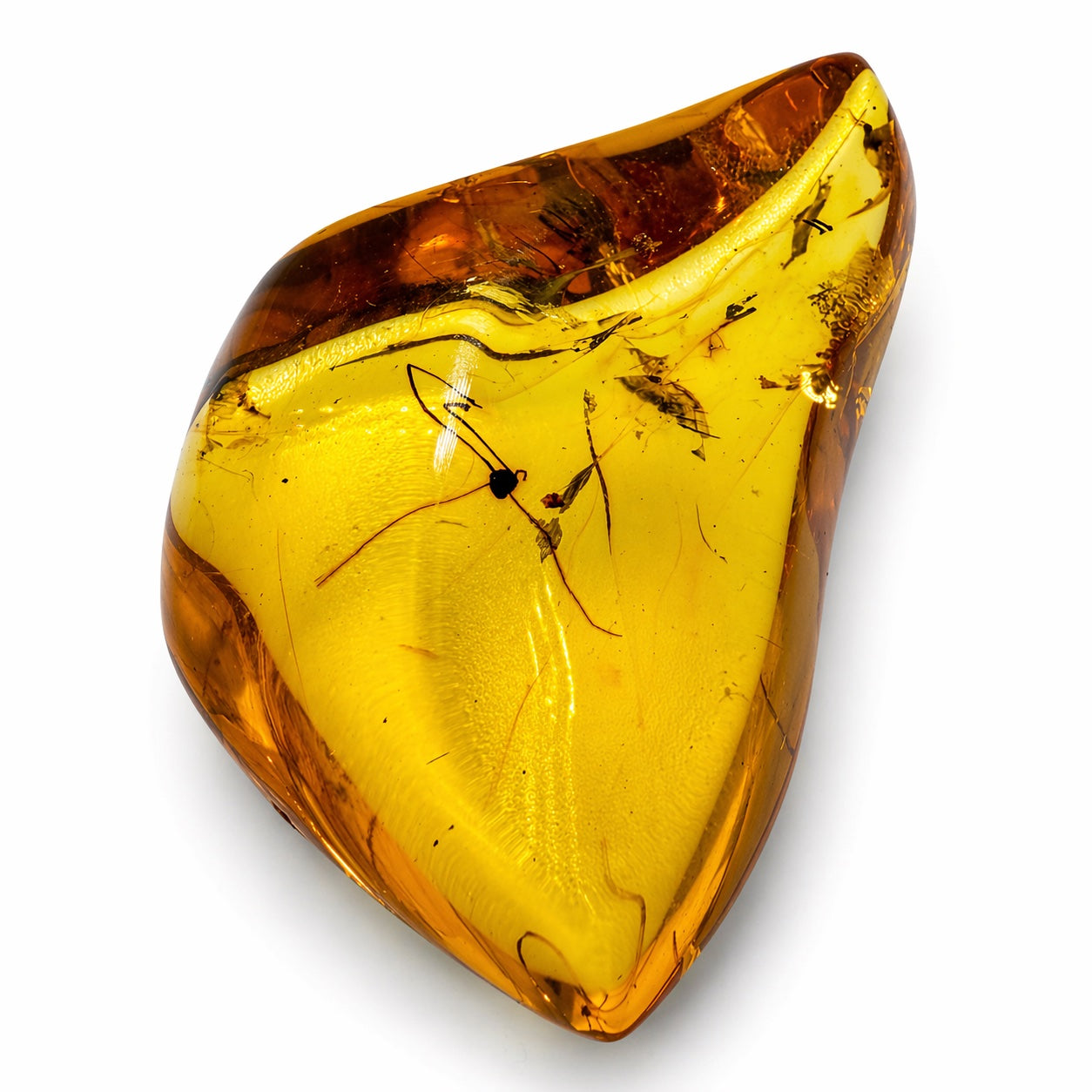 Genuine Baltic Amber Collector Chunks – Museum Quality Fossil Amber with Inclusions – One of a Kind Specimens – Natural Raw Amber Pieces