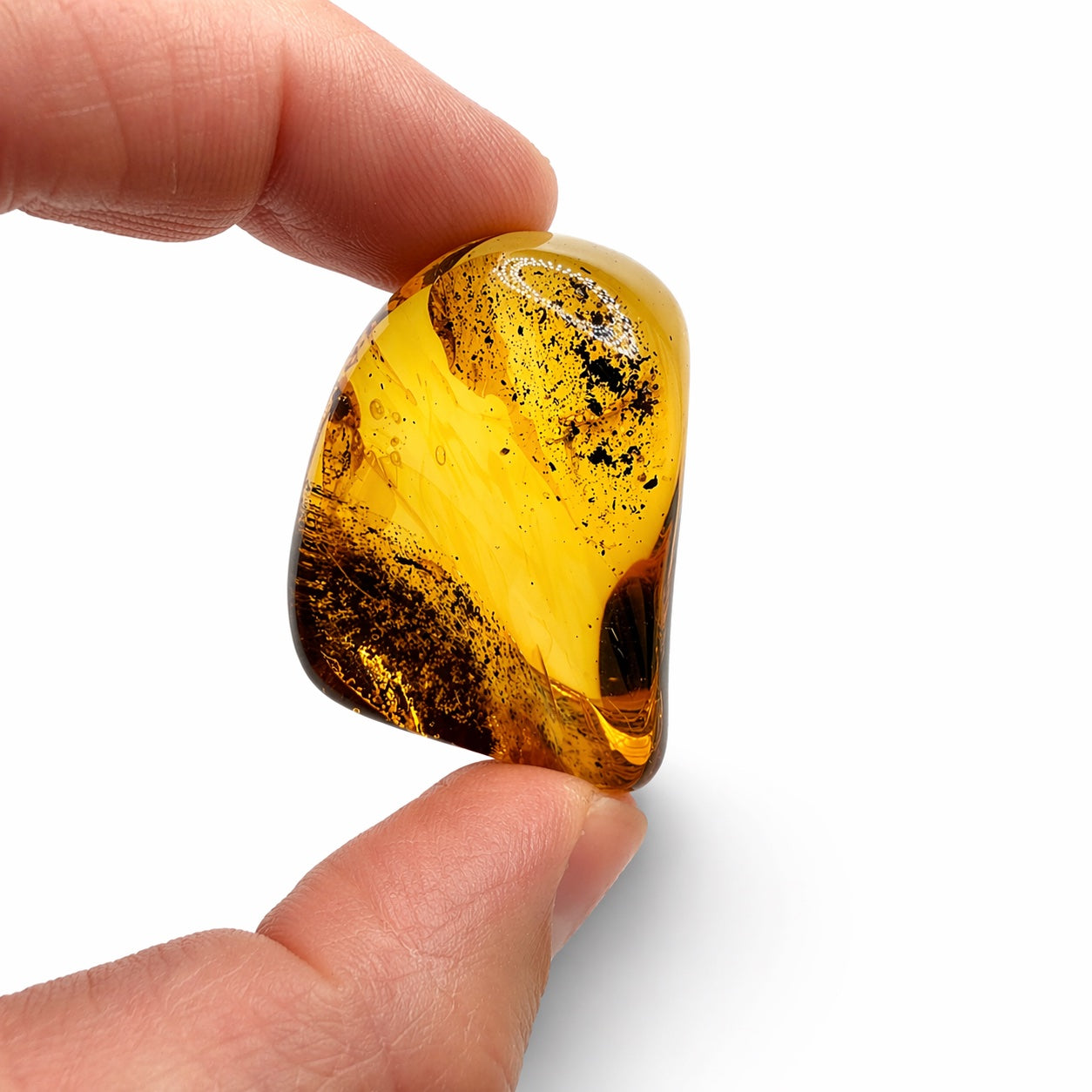 Genuine Baltic Amber Collector Chunks – Museum Quality Fossil Amber with Inclusions – One of a Kind Specimens – Natural Raw Amber Pieces