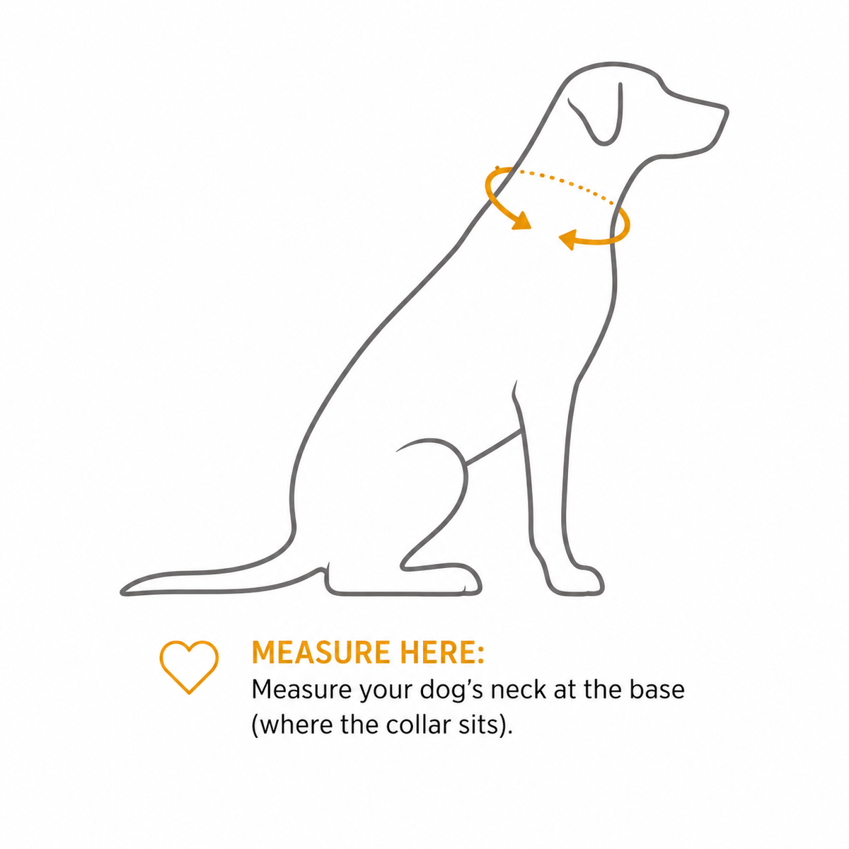 Genuine Baltic Amber Dog Collar, Natural Unpolished Amber Pet Collar, Adjustable Leather Flea & Tick Collar, Puppy Dog Collar