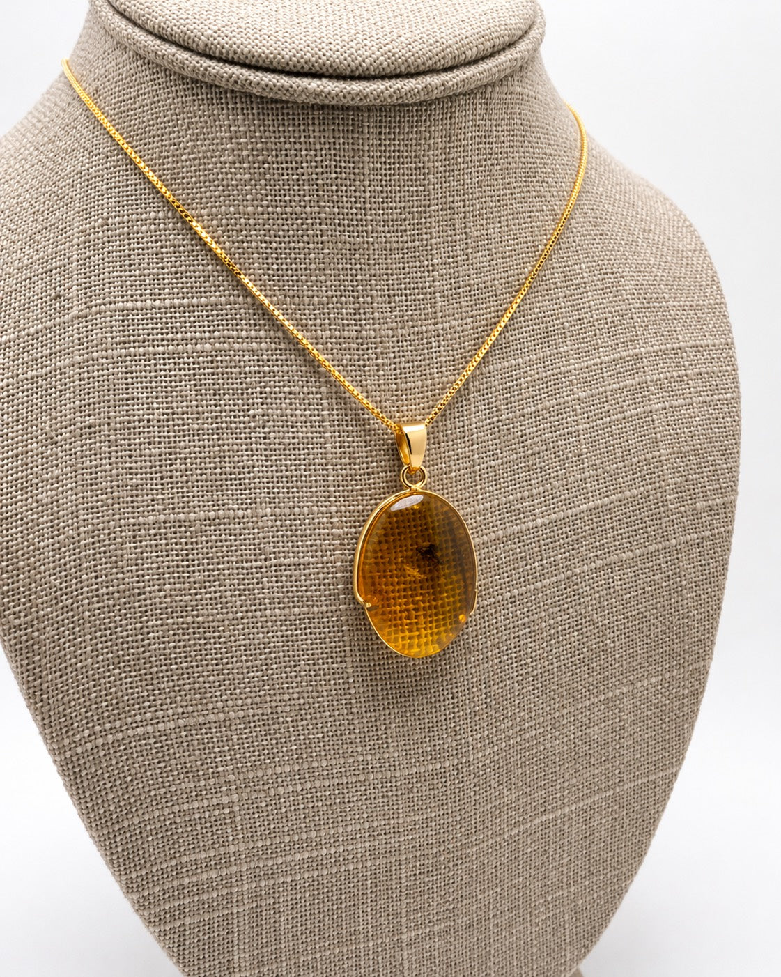 14K Gold Baltic Amber Pendant - Fly Inclusion Fossil Necklace Rare Natural Stone